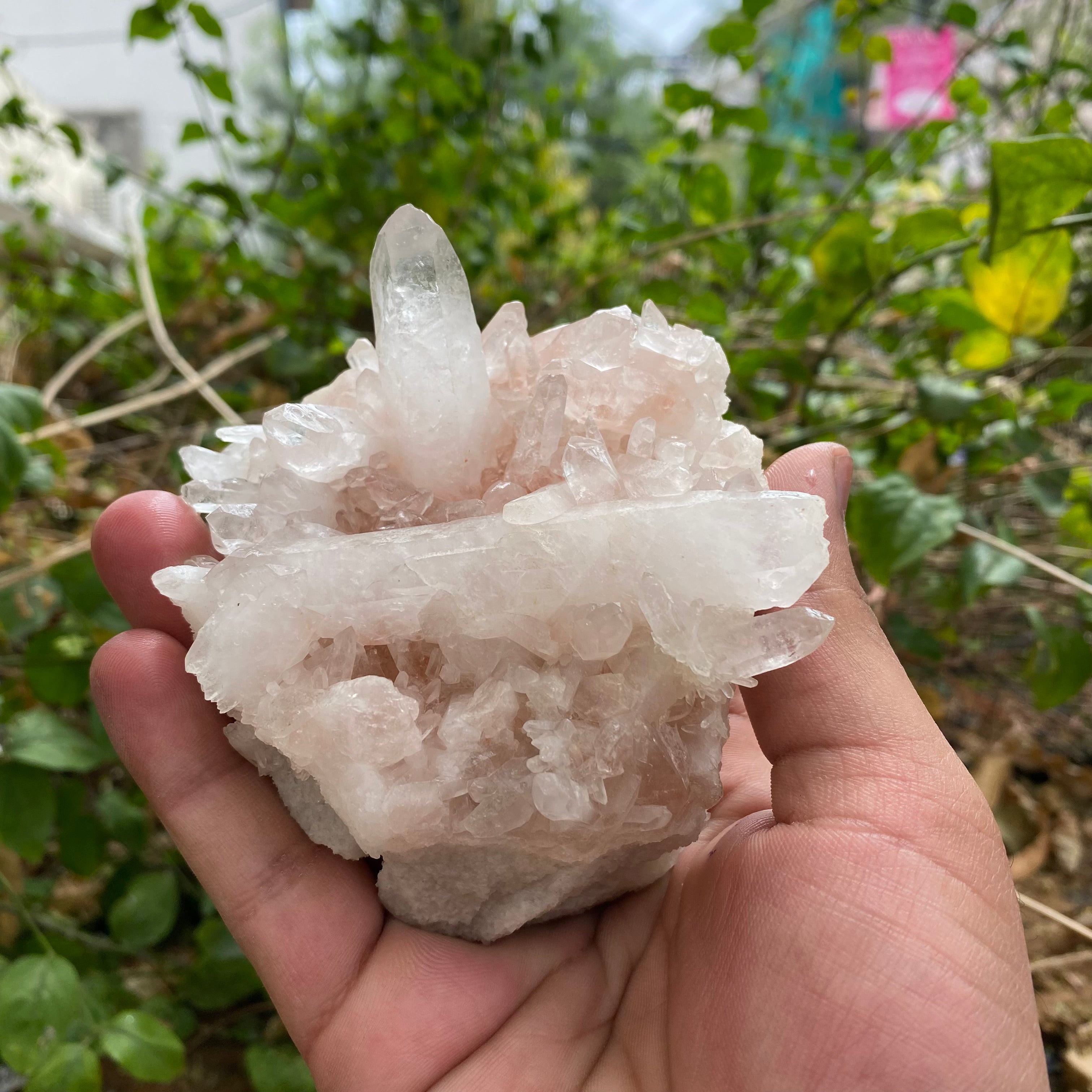 Himalayan Pink Quartz Crystal Cluster 380g Natural Raw Healing Stone Mineral Specimen Display Décor