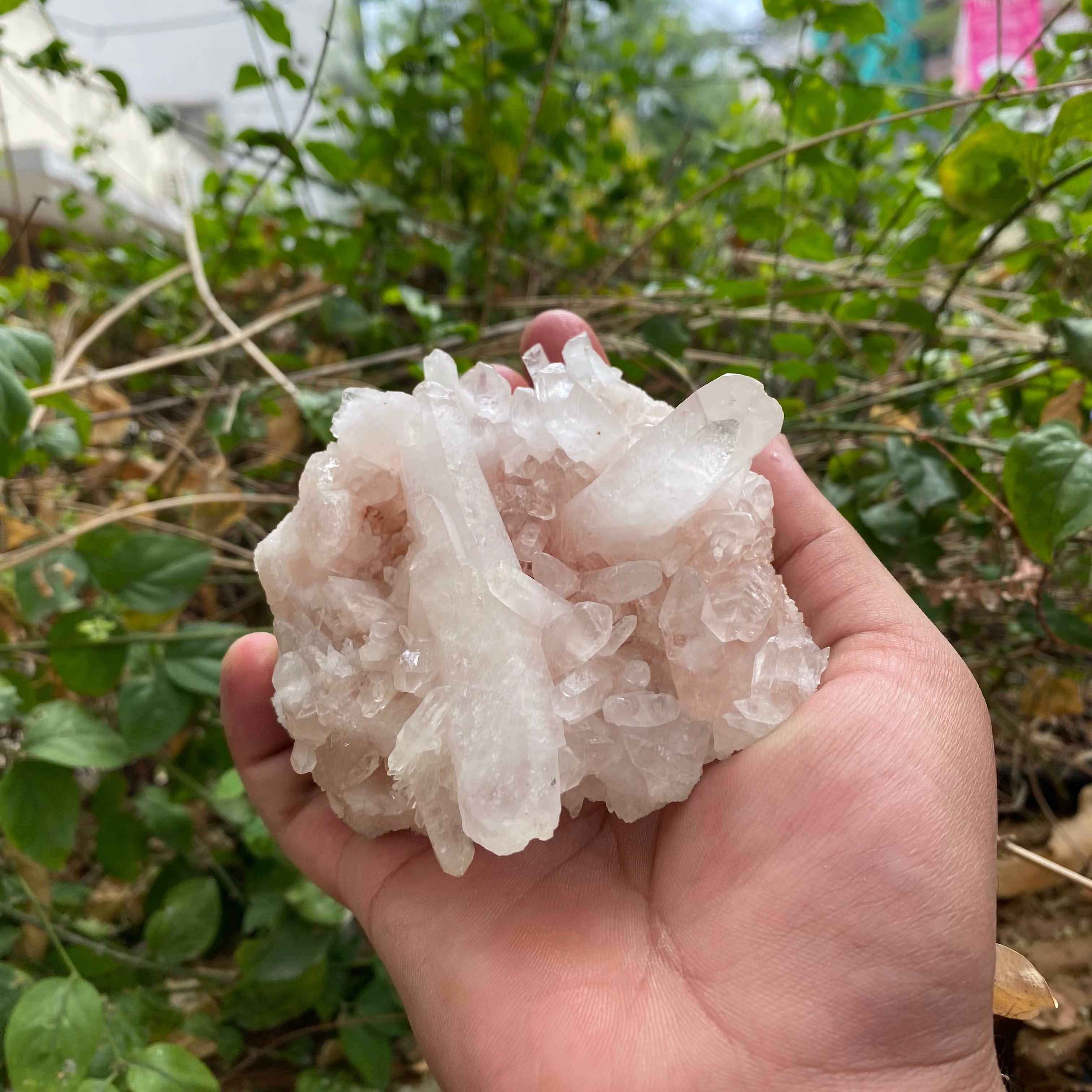 Himalayan Pink Quartz Crystal Cluster 380g Natural Raw Healing Stone Mineral Specimen Display Décor