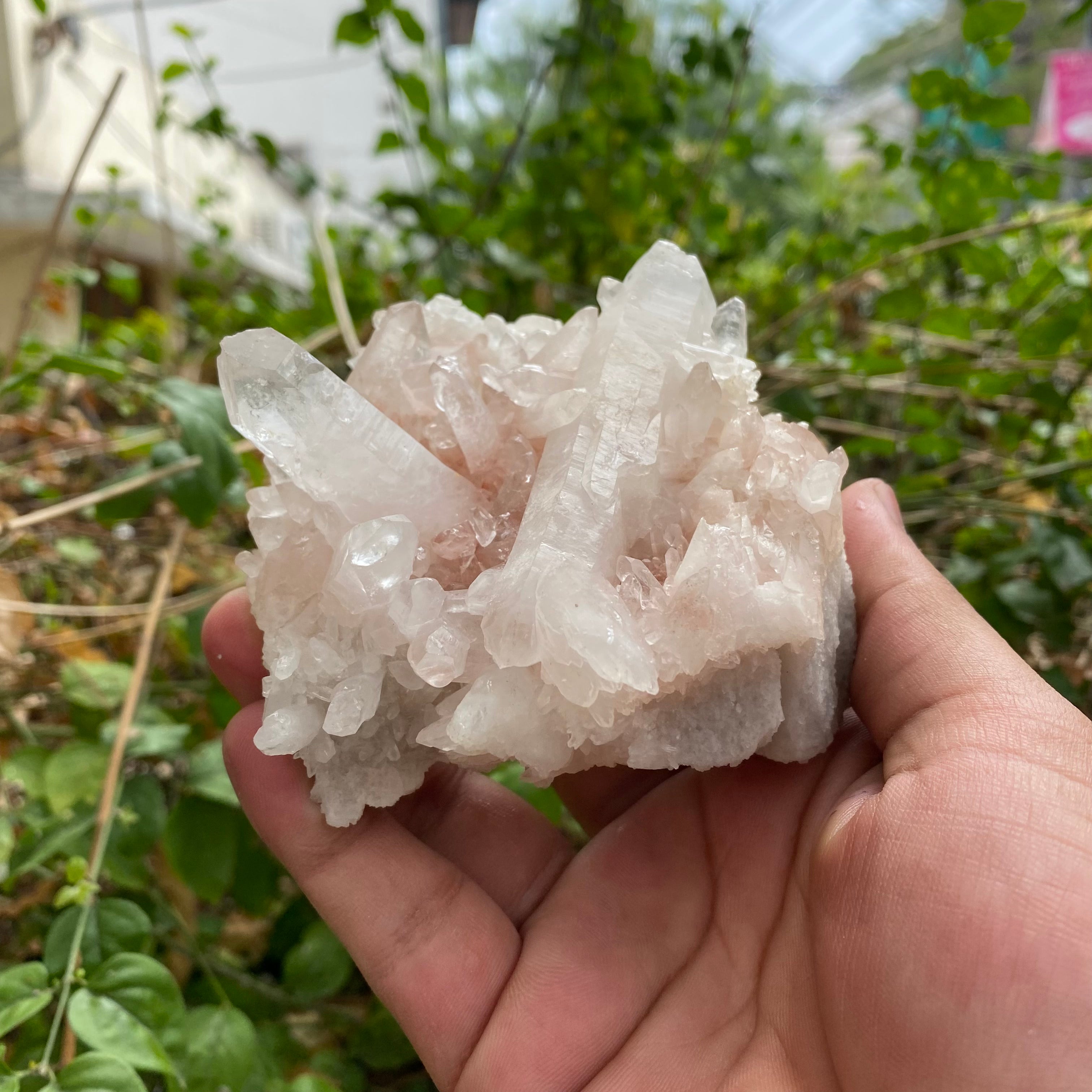Himalayan Pink Quartz Crystal Cluster 380g Natural Raw Healing Stone Mineral Specimen Display Décor