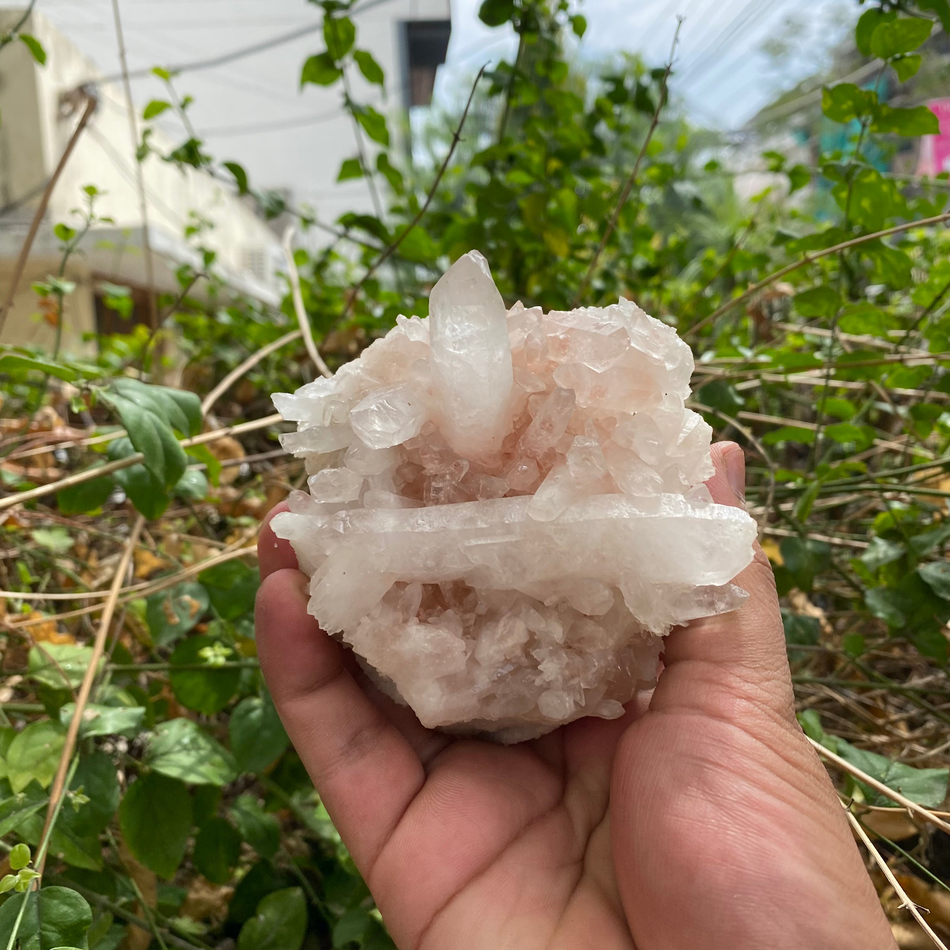 Himalayan Pink Quartz Crystal Cluster 380g Natural Raw Healing Stone Mineral Specimen Display Décor
