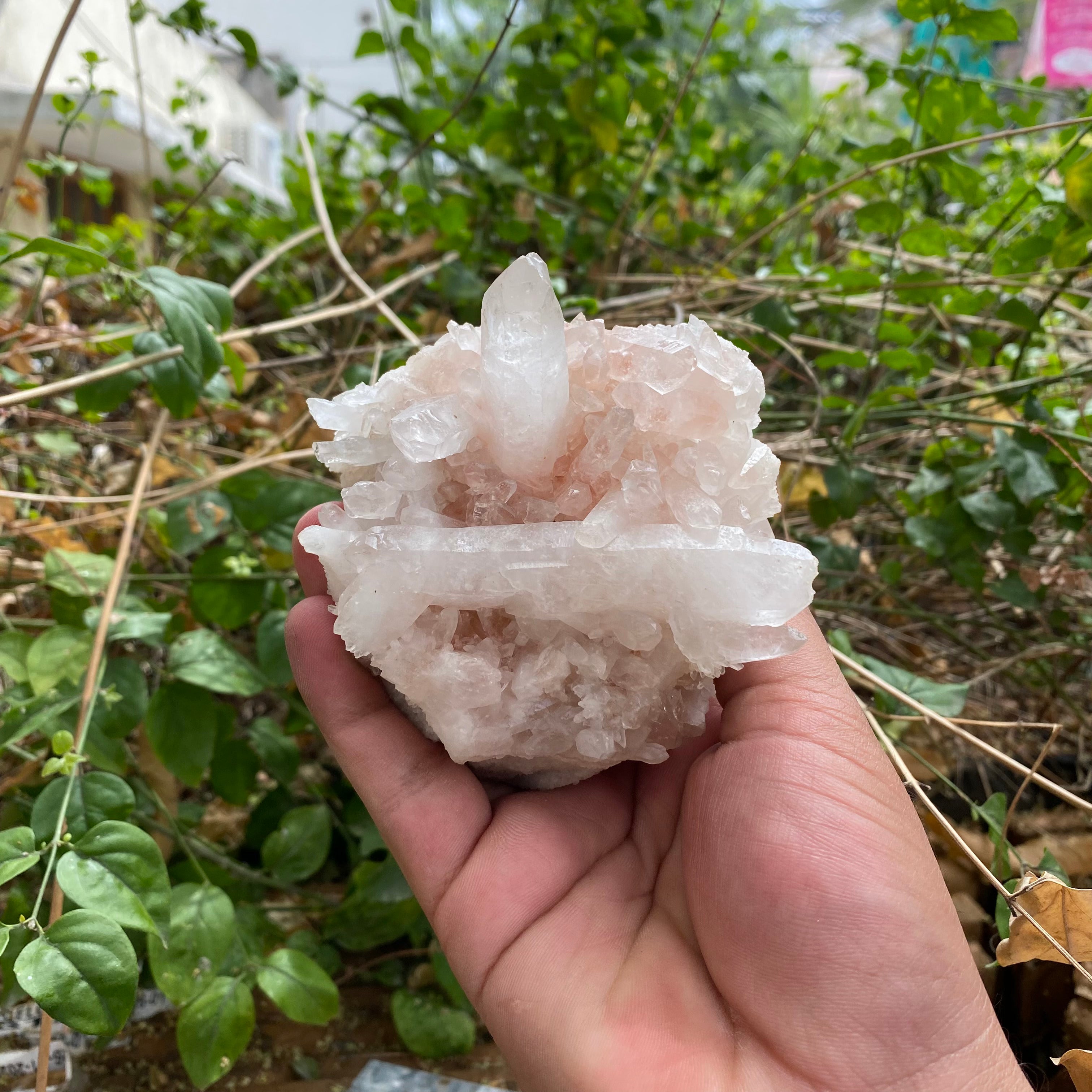 Himalayan Pink Quartz Crystal Cluster 380g Natural Raw Healing Stone Mineral Specimen Display Décor