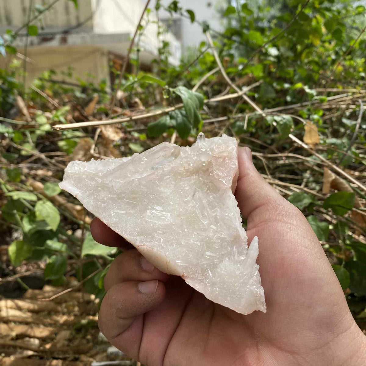 White Himalayan Quartz Natural Display Raw Cluster Collector Specimen
