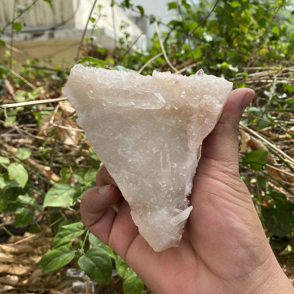 White Himalayan Quartz Natural Display Raw Cluster Collector Specimen