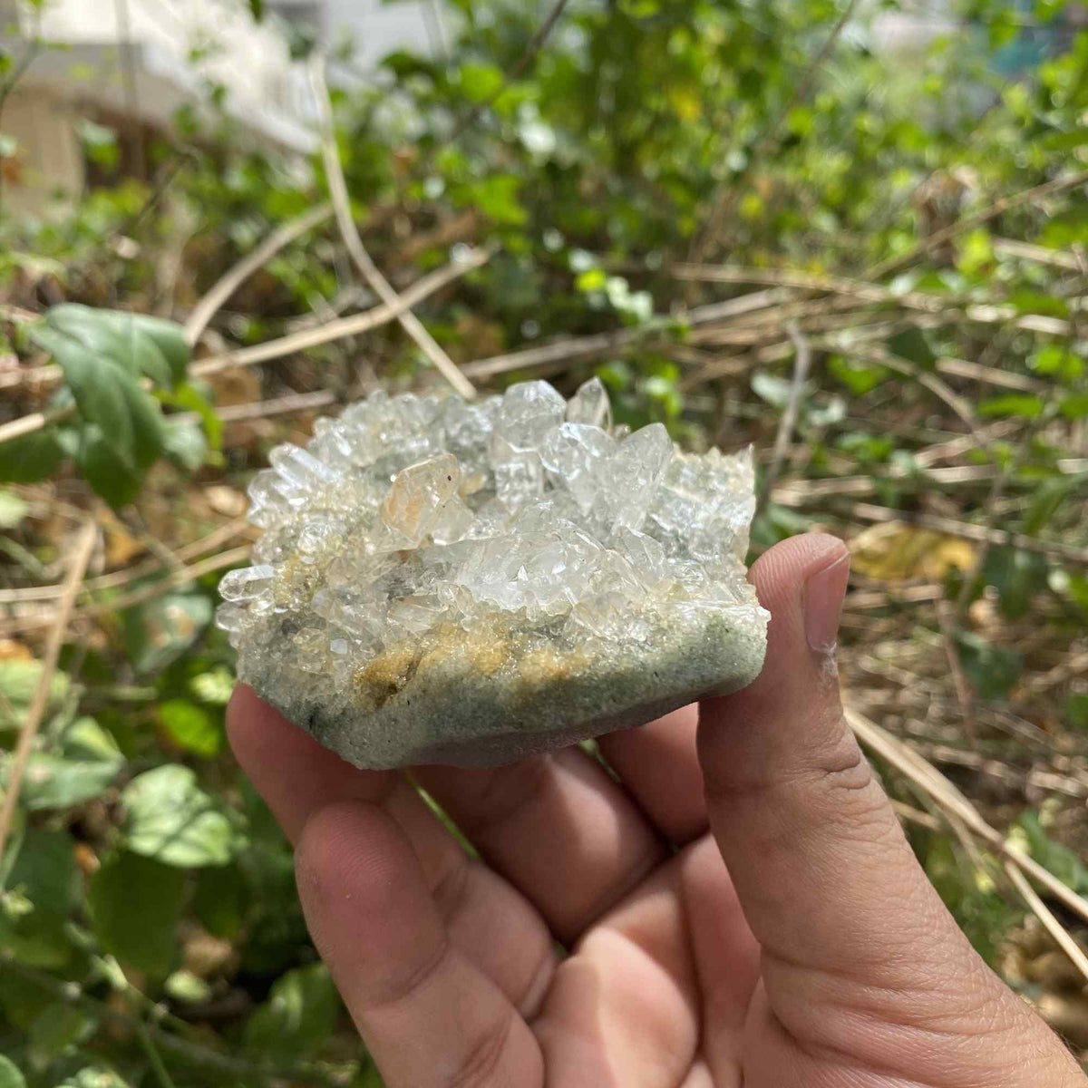 Natural Himalayan Green Chlorite Quartz Raw Cluster Display Specimen