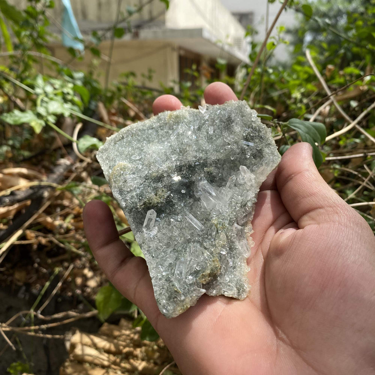 Raw Green Chlorite Quartz Himalayan Cluster Natural Collector Mineral