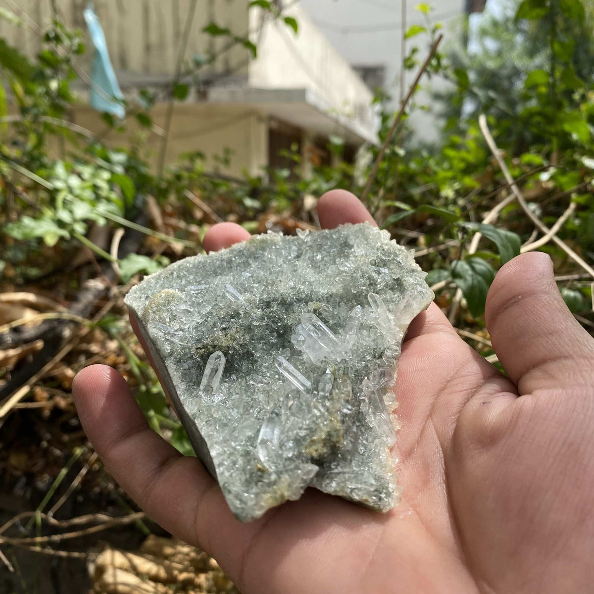 Raw Green Chlorite Quartz Himalayan Cluster Natural Collector Mineral