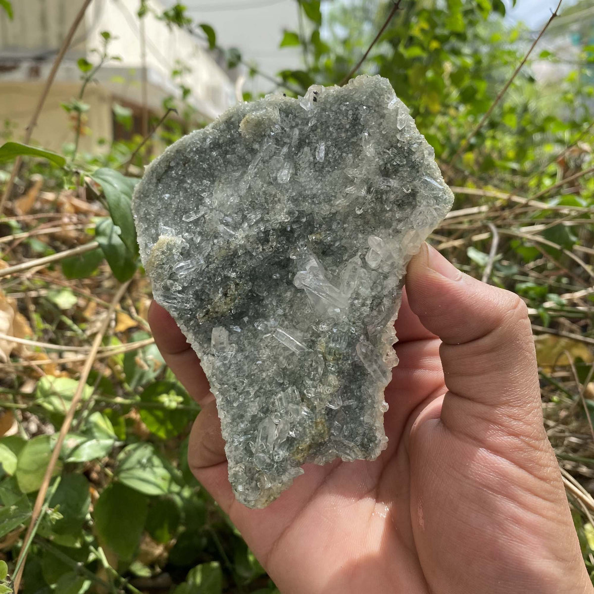 Raw Green Chlorite Quartz Himalayan Cluster Natural Collector Mineral