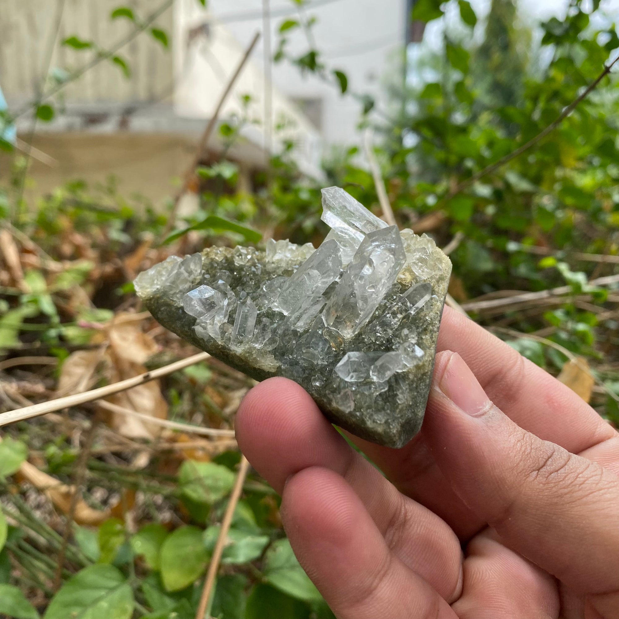 Hand holding a crystal formation outdoors with greenery in the background