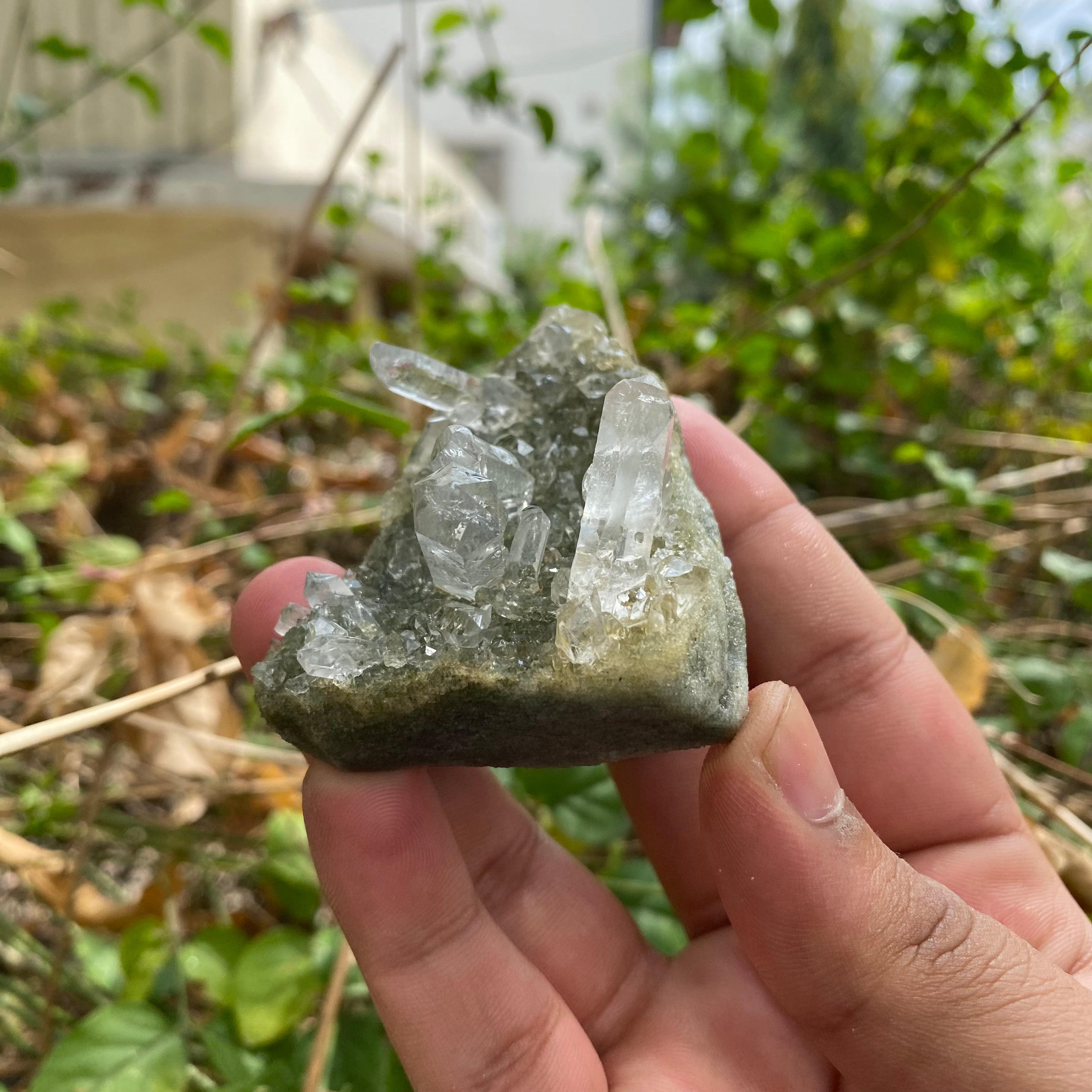 Himalayan Green Chlorite Quartz Point: 90gm Crystal