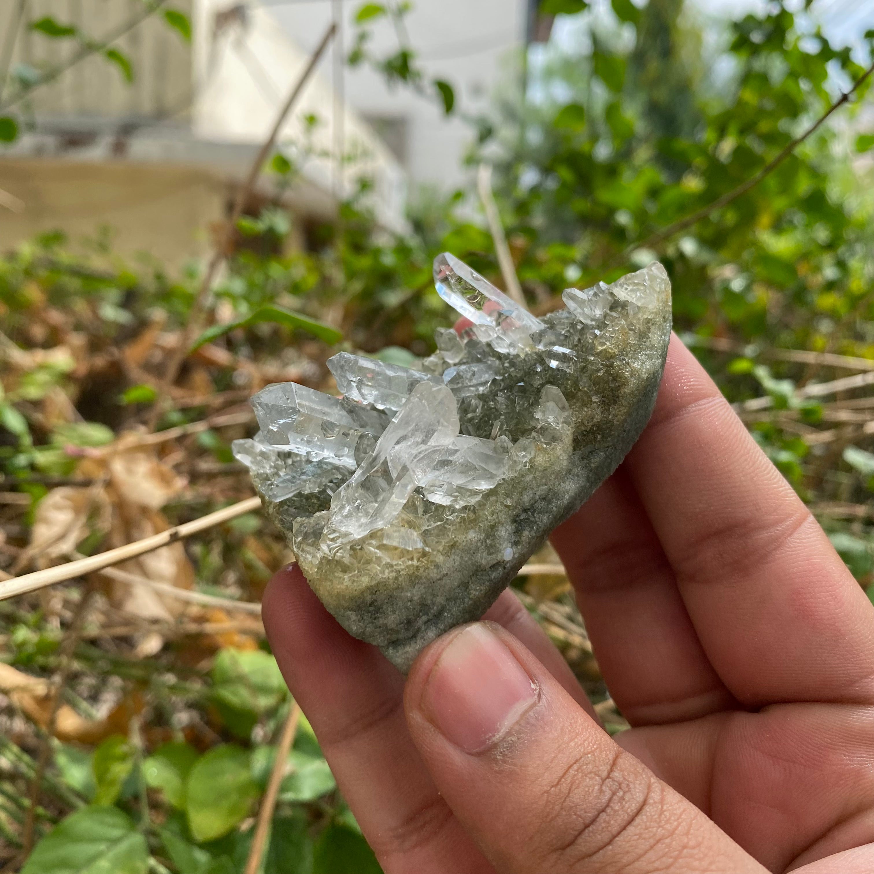 Himalayan Green Chlorite Quartz Point: 90gm Crystal