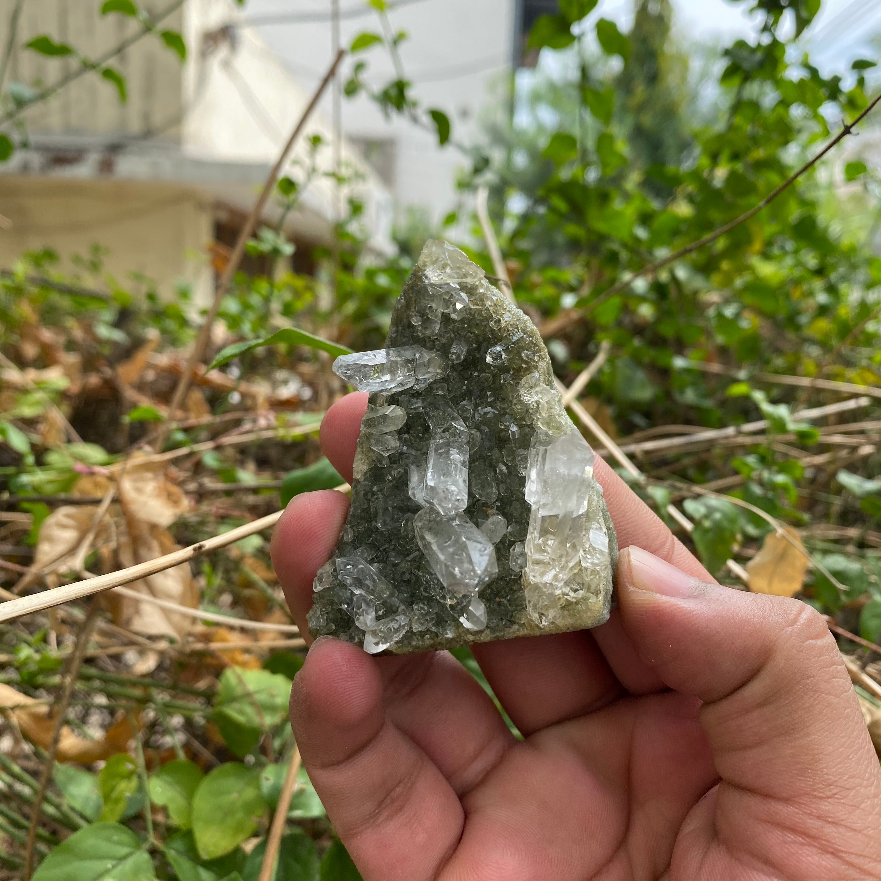 Himalayan Green Chlorite Quartz Point: 90gm Crystal