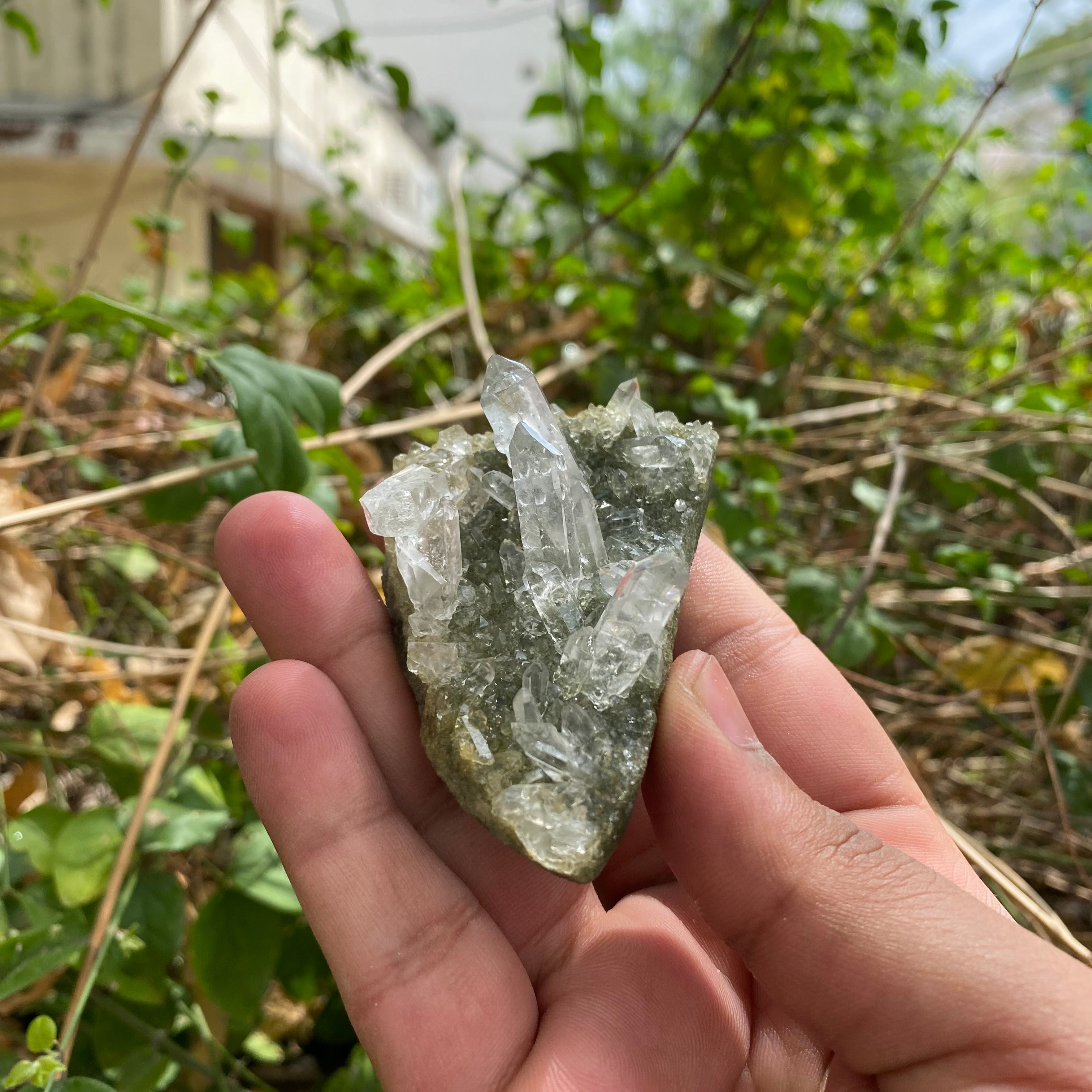Himalayan Green Chlorite Quartz Point: 90gm Crystal