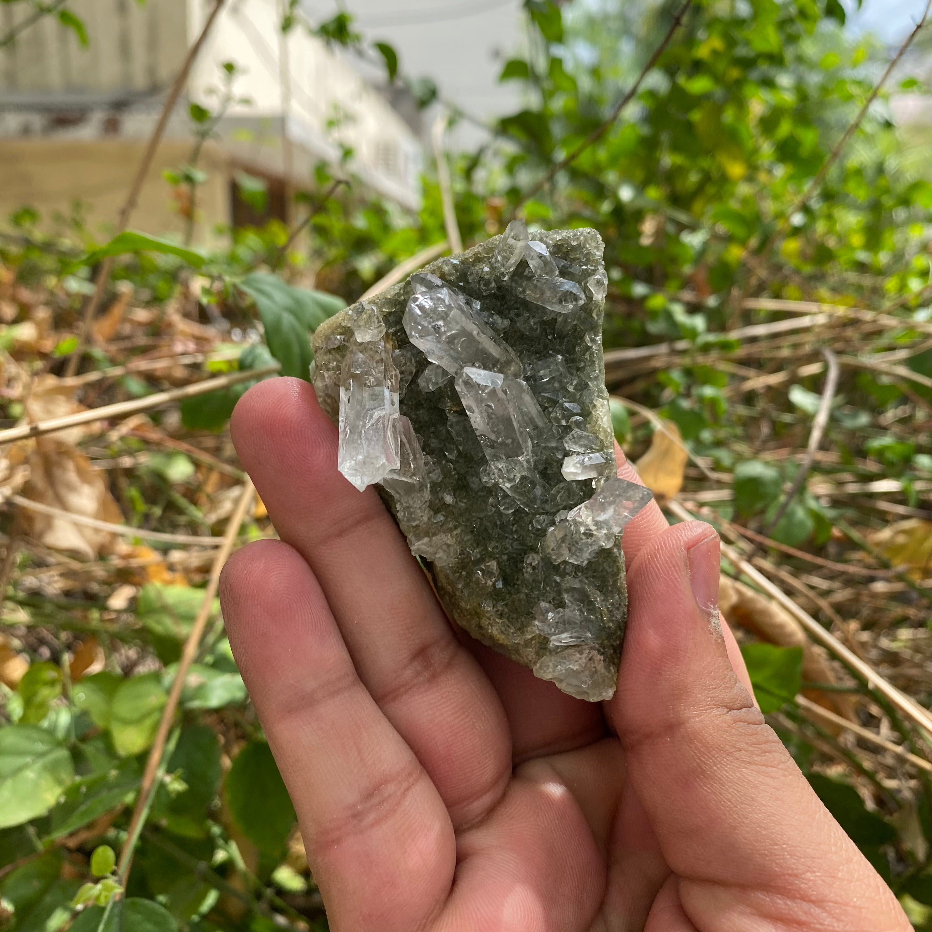 Himalayan Green Chlorite Quartz Point: 90gm Crystal