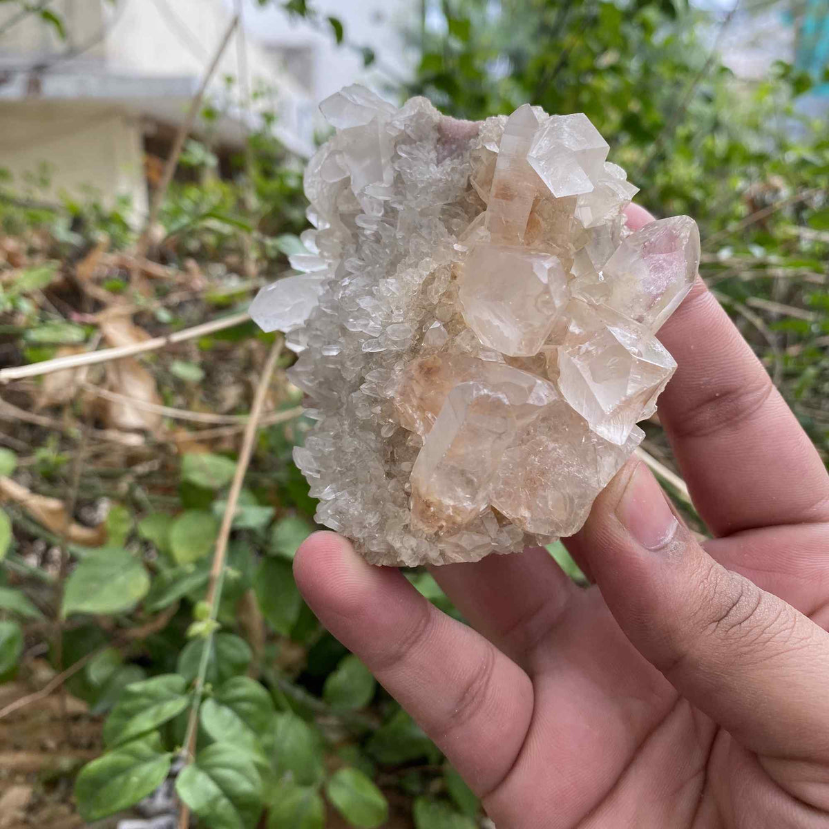 Natural Himalayan Pink White Quartz Raw Cluster Mineral Collector Specimen