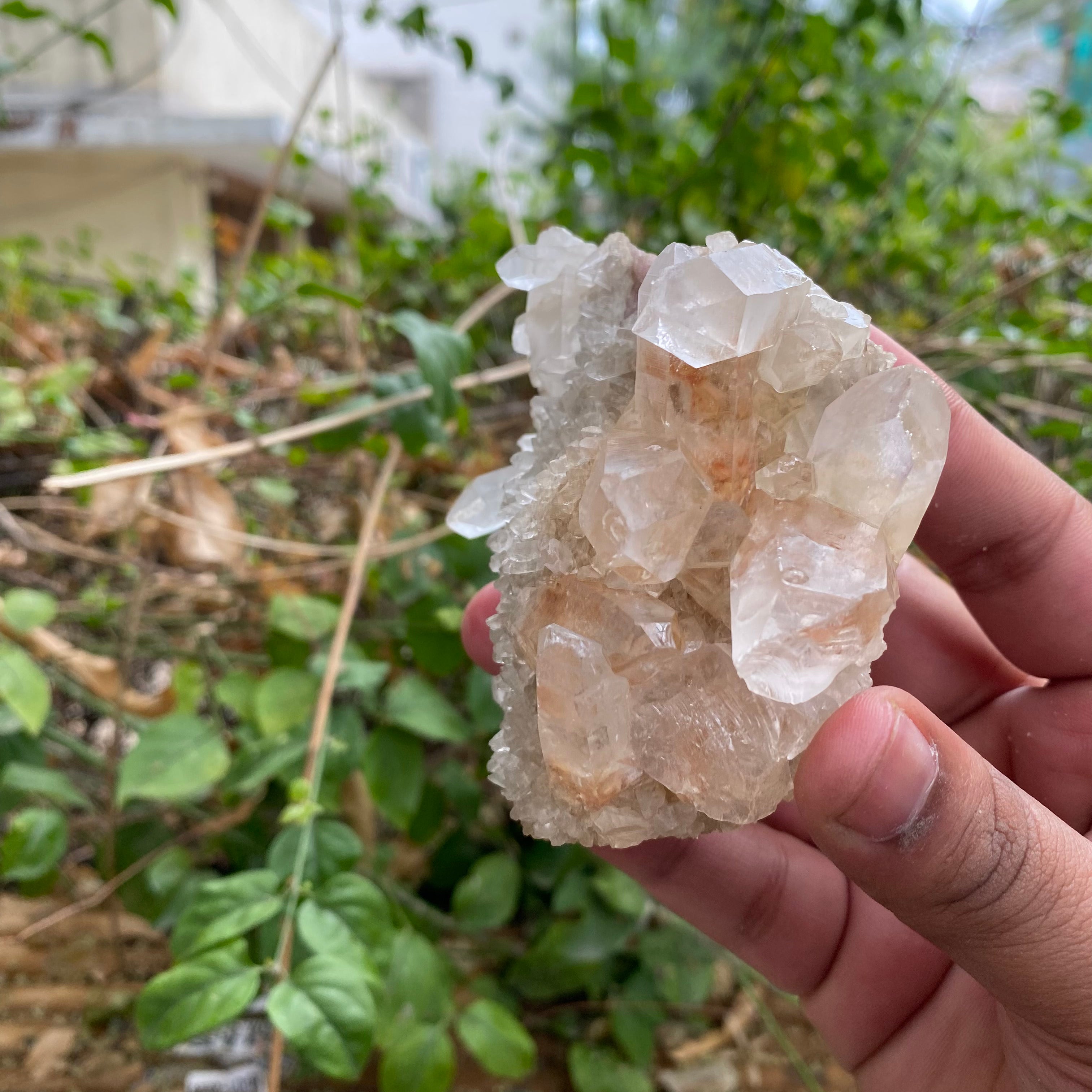 Rare Pink Himalayan Quartz Crystal Cluster Natural Collector Energy Display