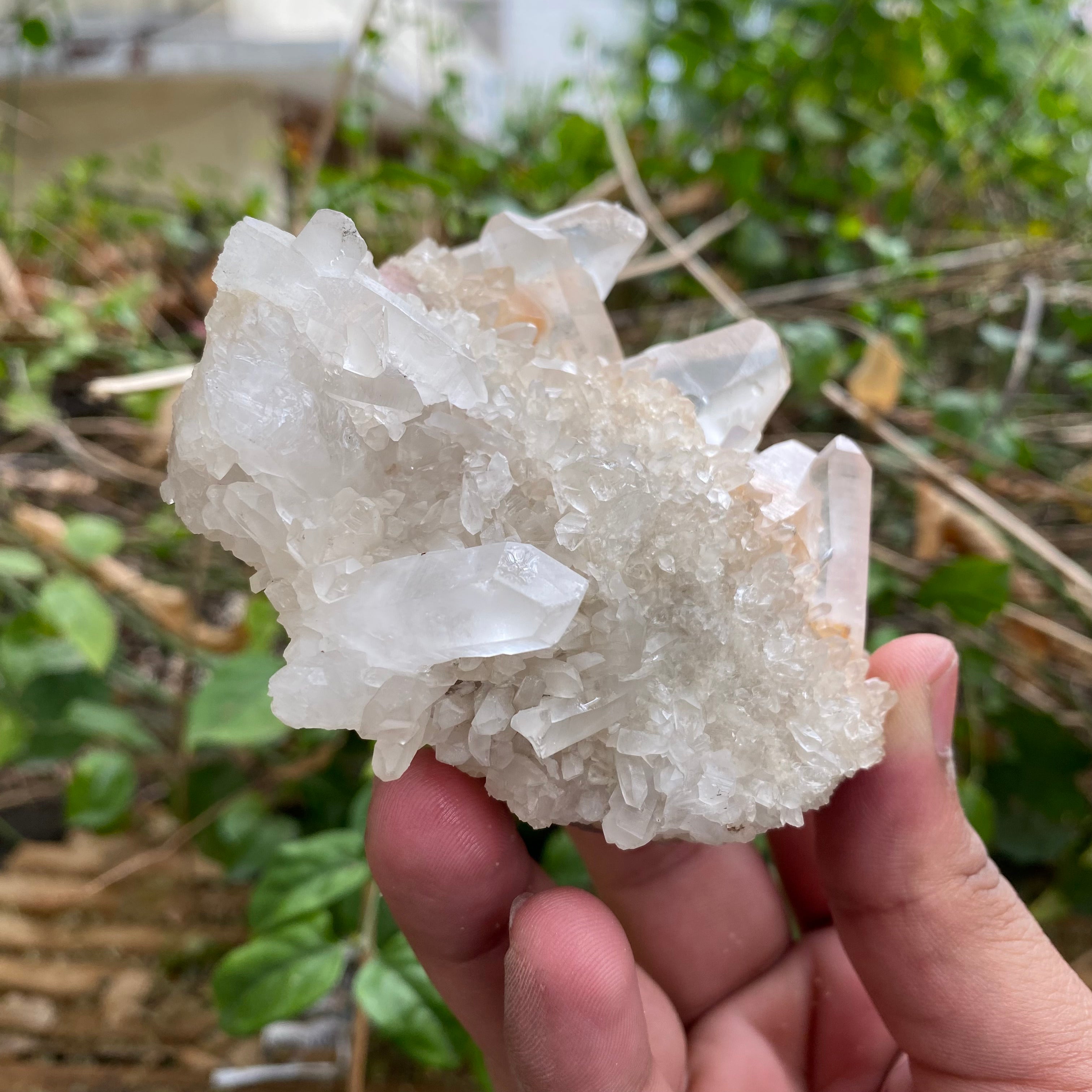 Rare Pink Himalayan Quartz Crystal Cluster Natural Collector Energy Display
