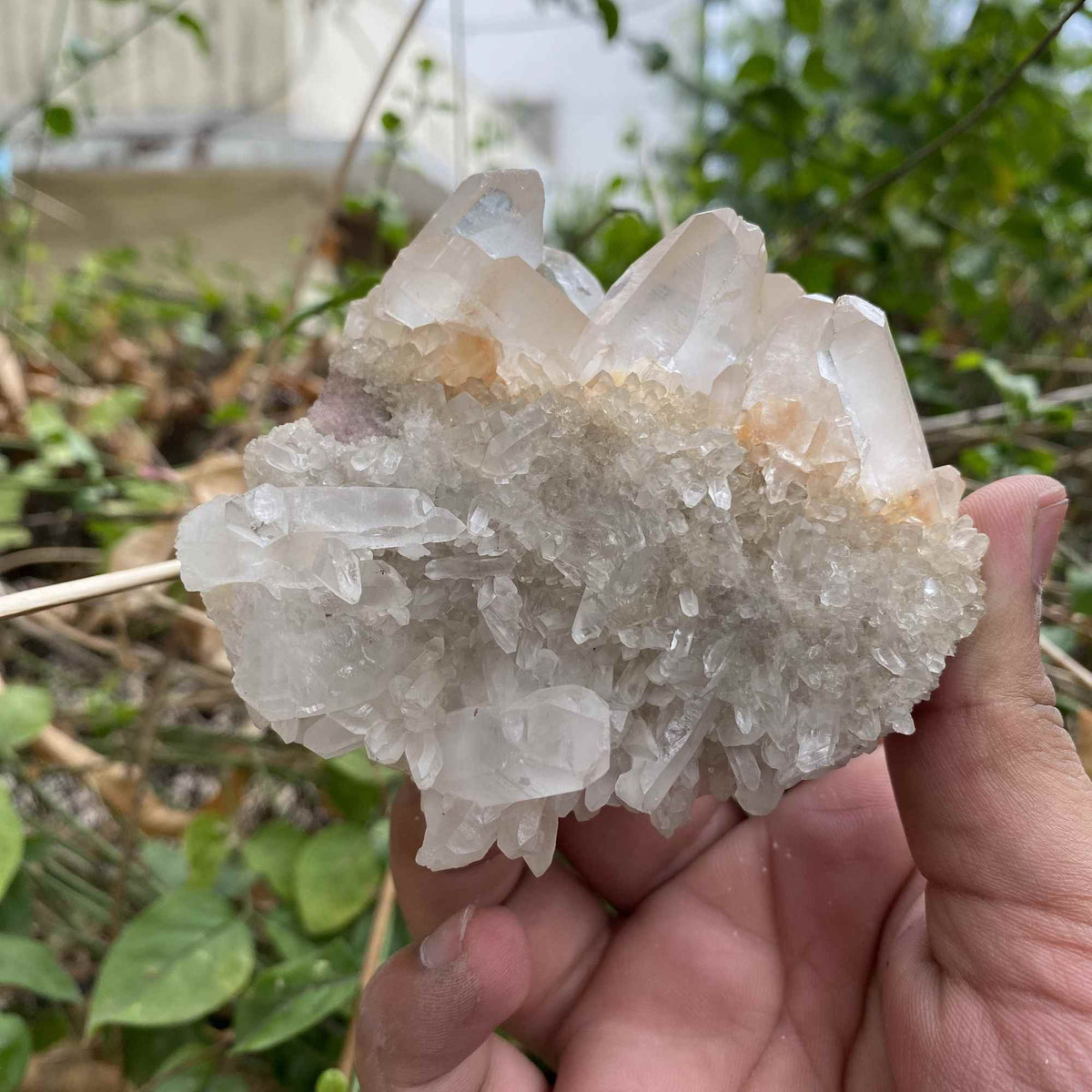 Natural Himalayan Pink White Quartz Raw Cluster Mineral Collector Specimen