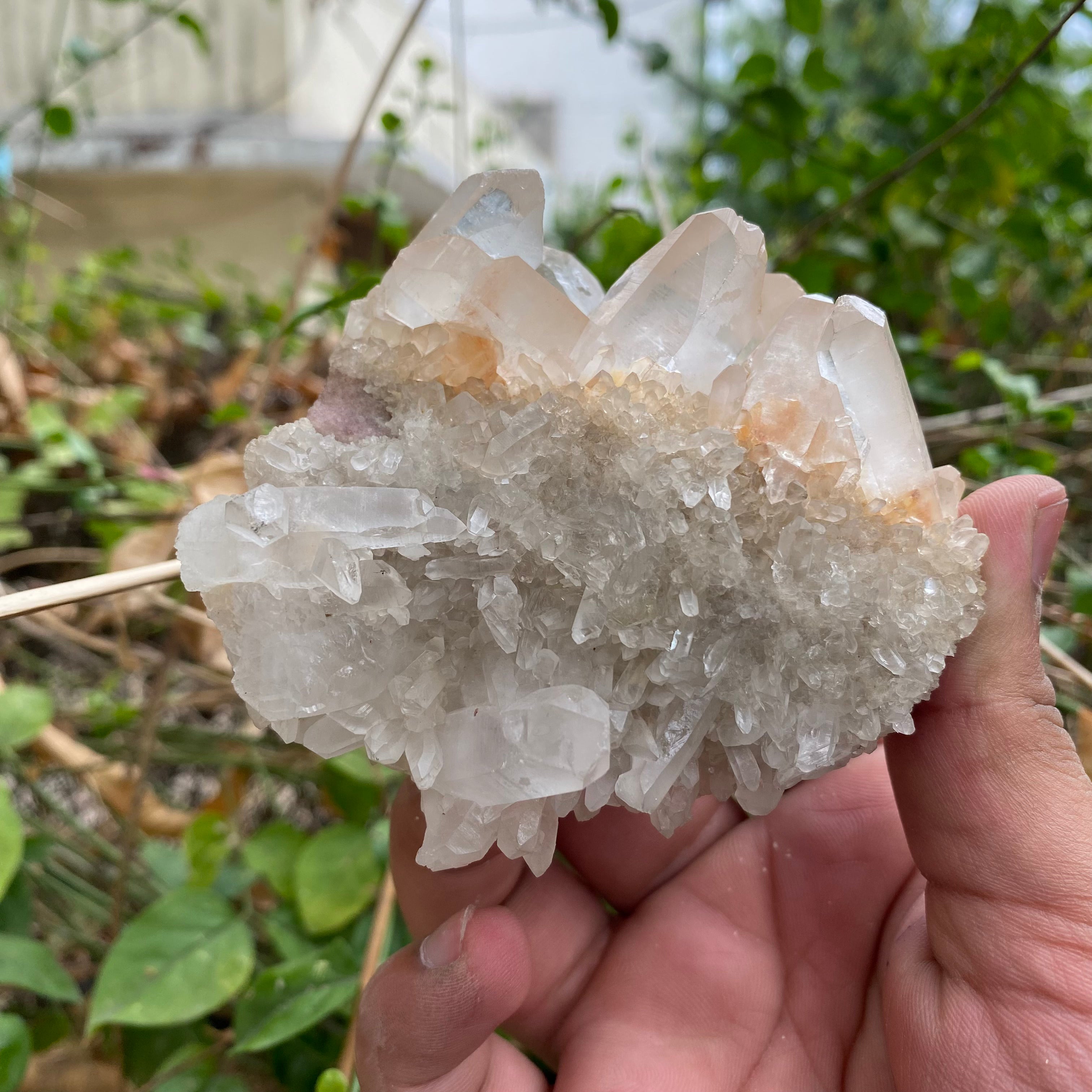 Rare Pink Himalayan Quartz Crystal Cluster Natural Collector Energy Display