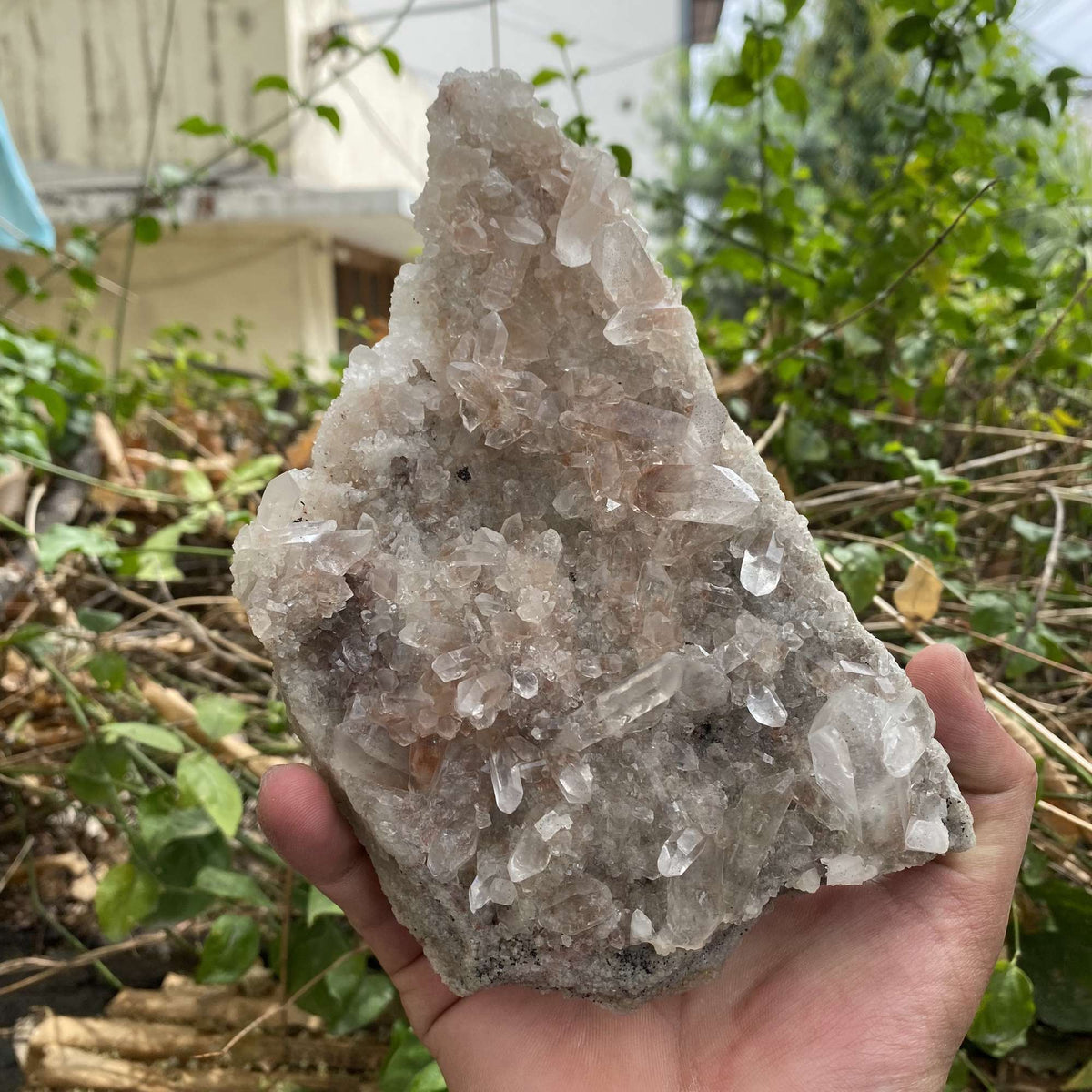 Natural Pink Himalayan Quartz Cluster Display Raw Collector Mineral