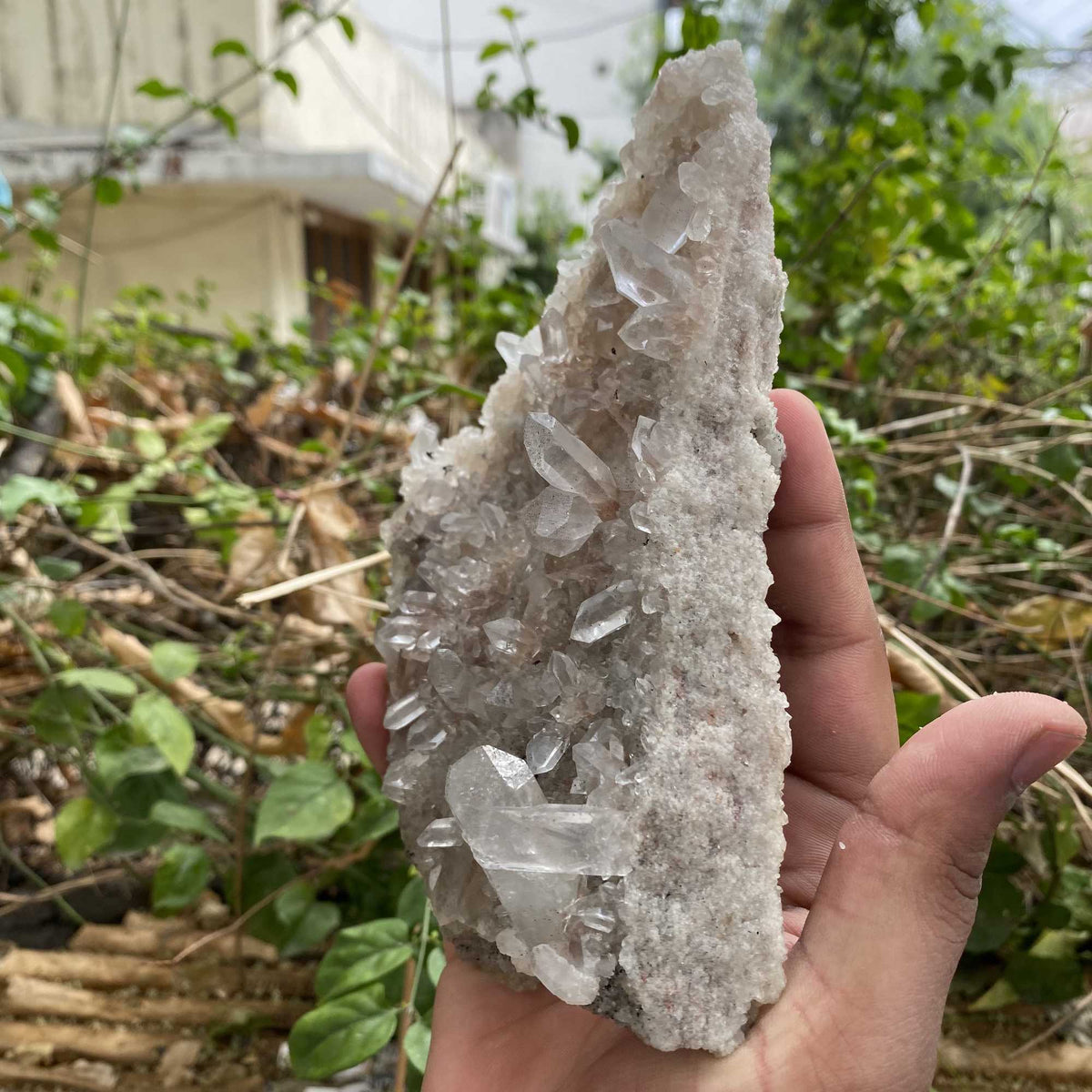 Natural Pink Himalayan Quartz Cluster Display Raw Collector Mineral