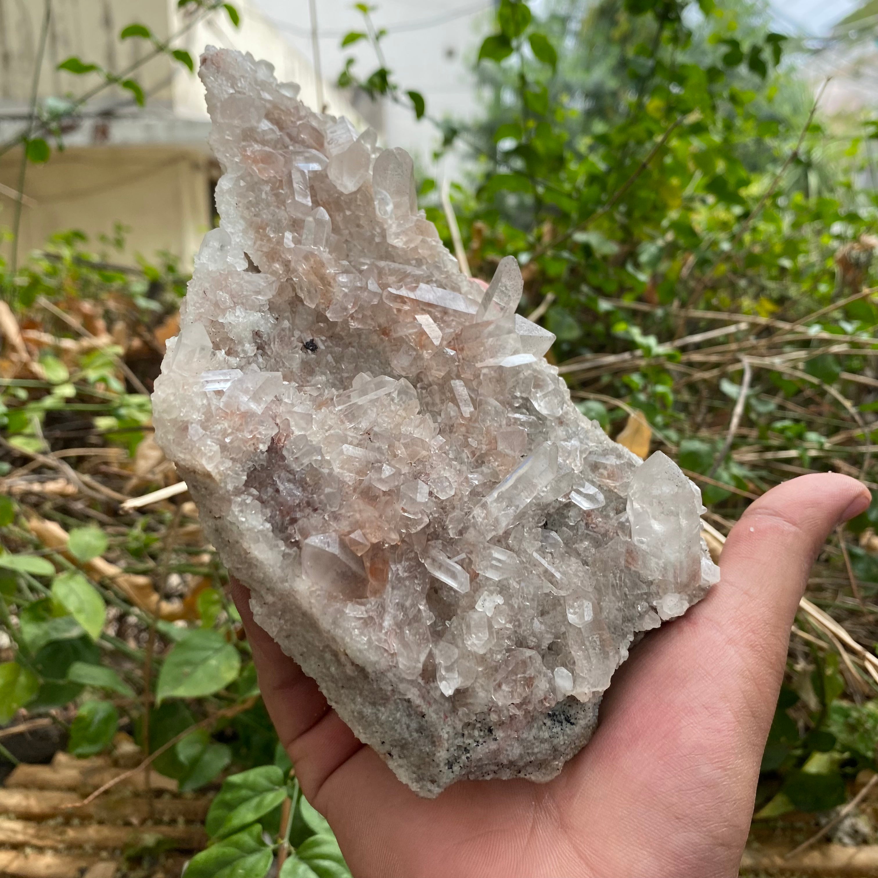 Pink Himalayan Quartz Crystal Cluster Raw Energy Healing Natural Display