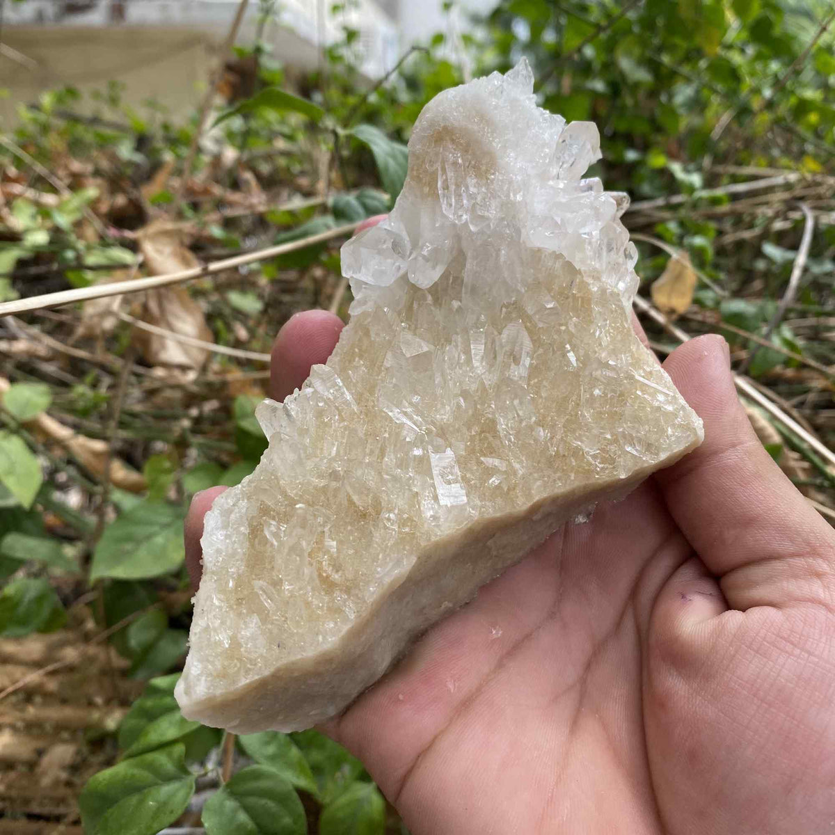 395g Himalayan White Pink Quartz Natural Cluster Mineral Display Specimen