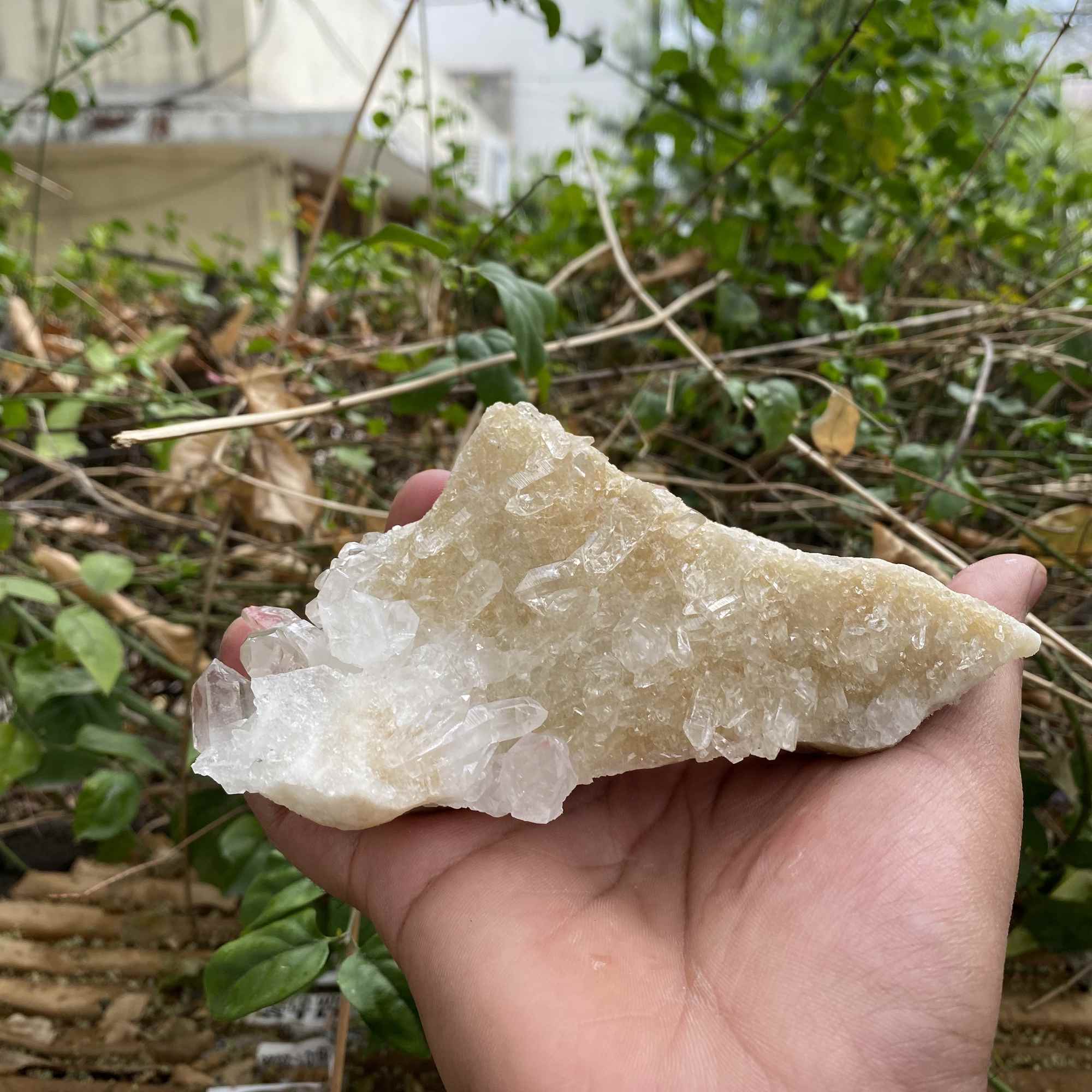 395g Himalayan White Pink Quartz Natural Cluster Mineral Display Specimen