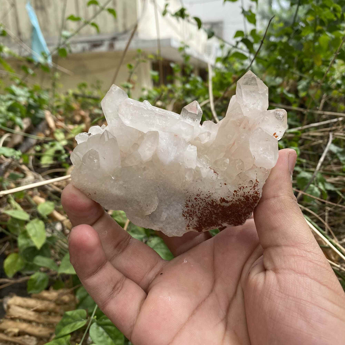 Natural Pink Himalayan Quartz 260g Raw Cluster Mineral Display