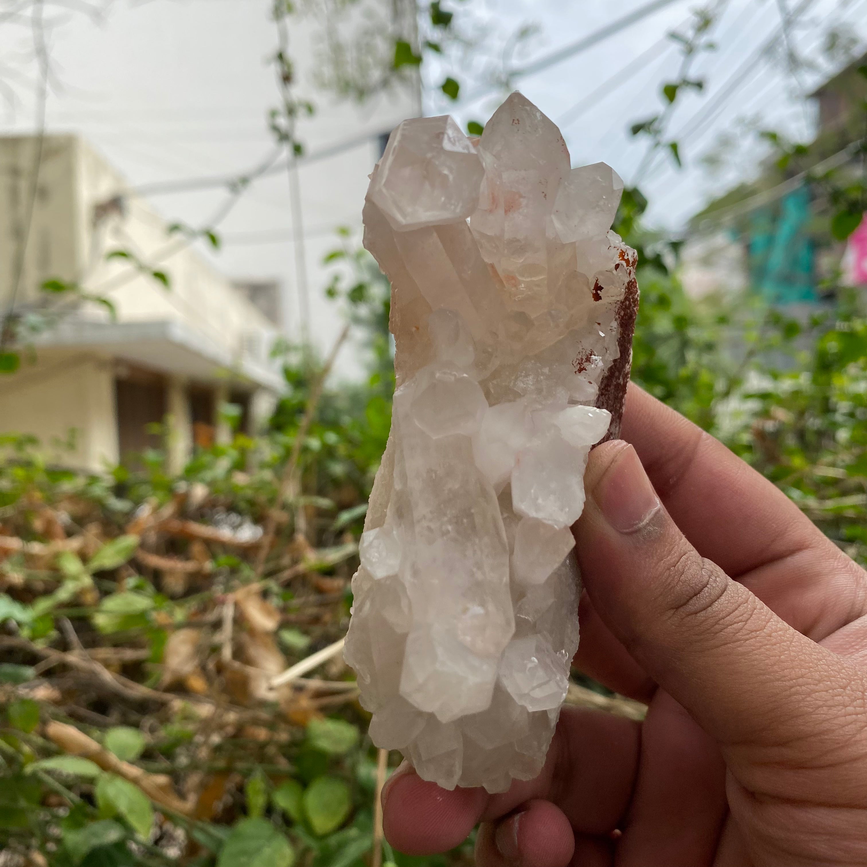 Pink Himalayan Quartz Samadhi Raw Crystal Mineral Cluster Healing Collector Piece