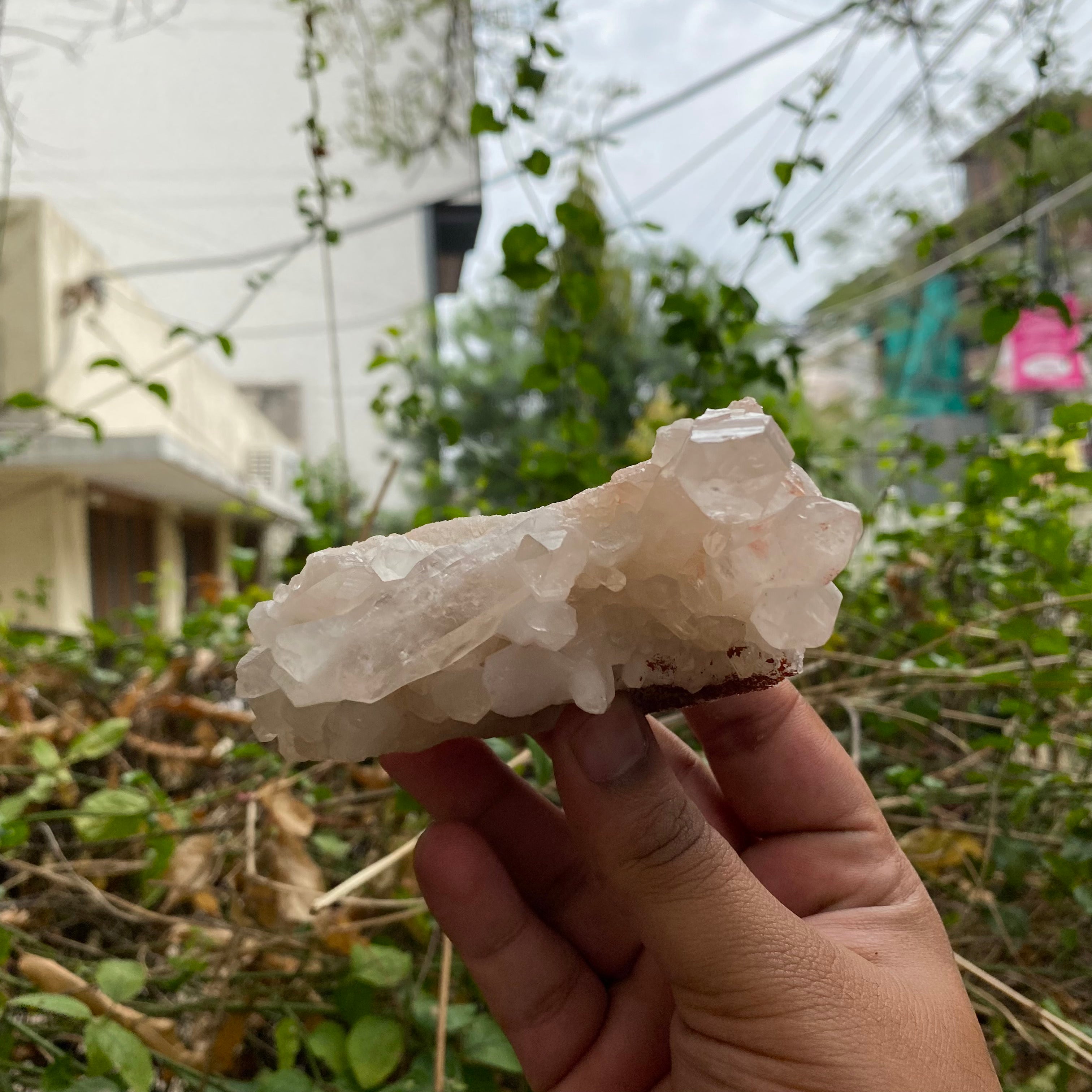 Pink Himalayan Quartz Samadhi Raw Crystal Mineral Cluster Healing Collector Piece