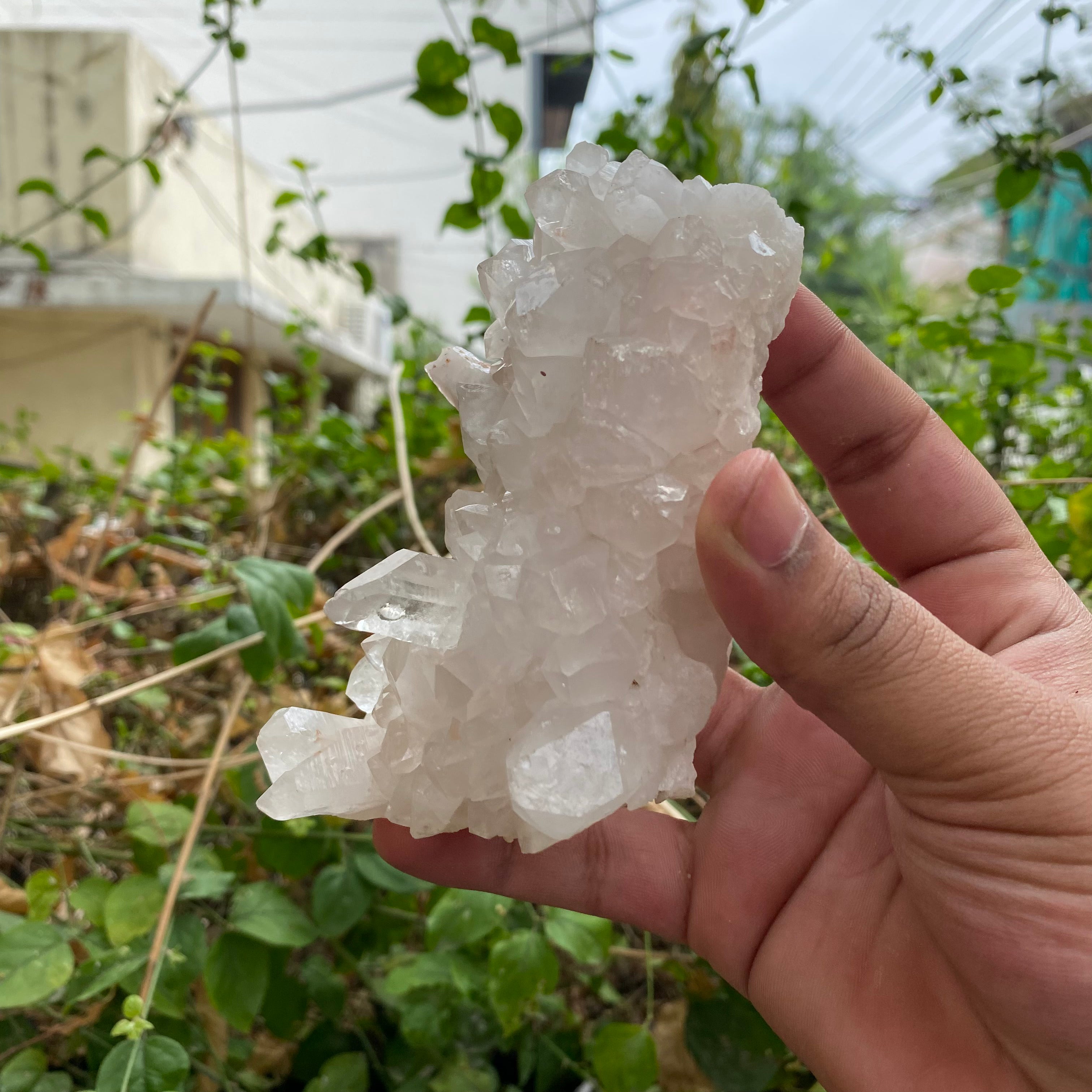 Natural Himalayan White Quartz Cluster 380g