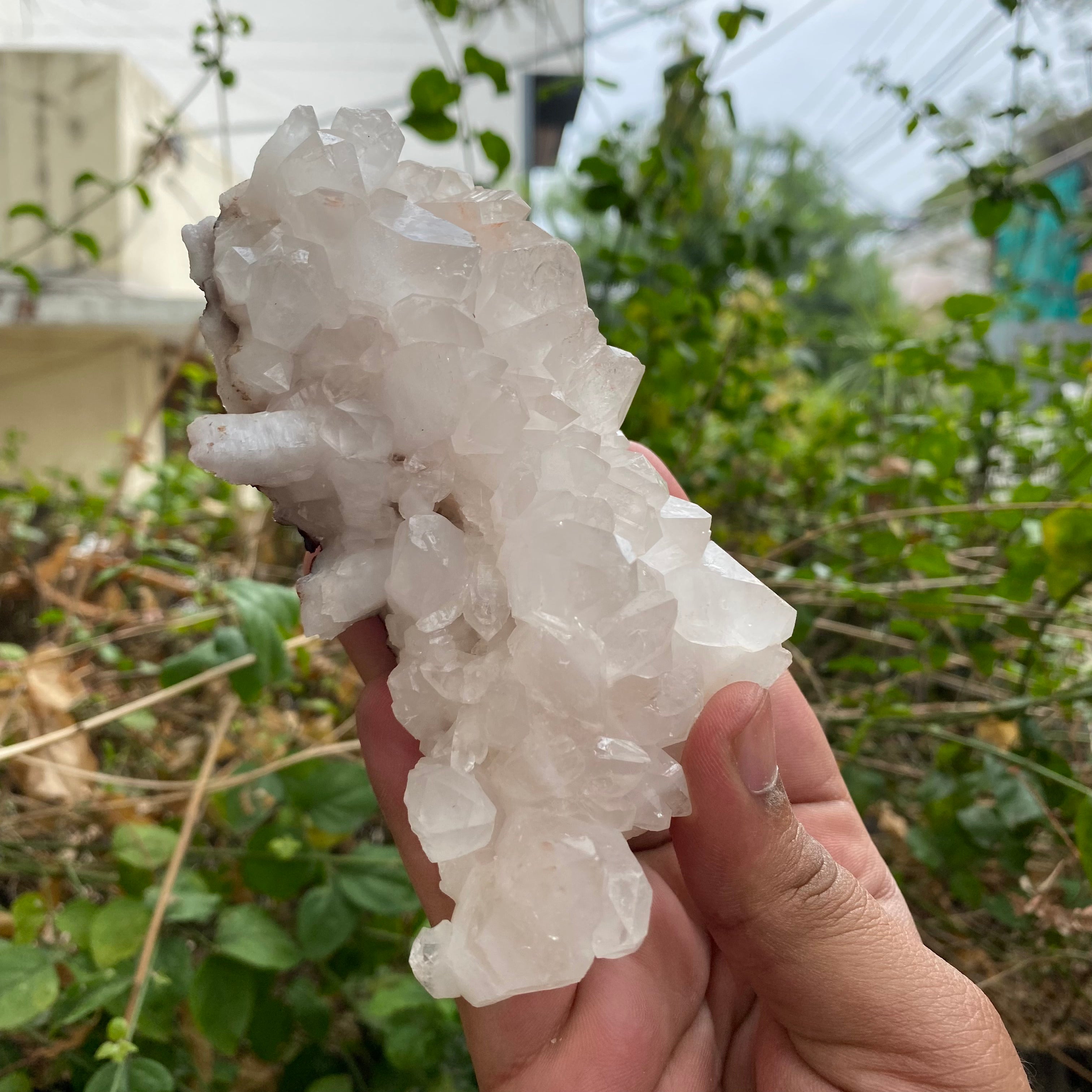 Natural Himalayan White Quartz Cluster 380g