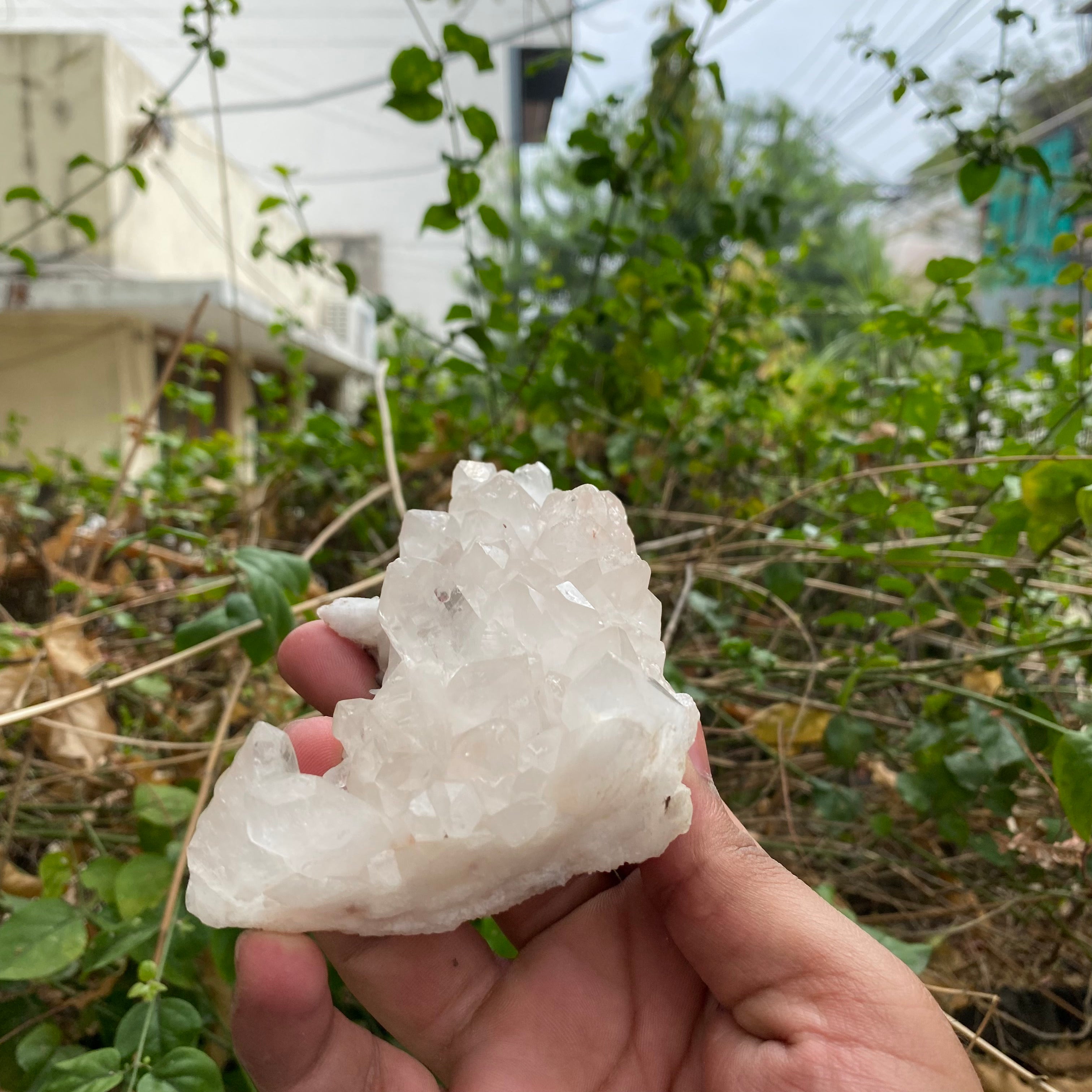 Natural Himalayan White Quartz Cluster 380g