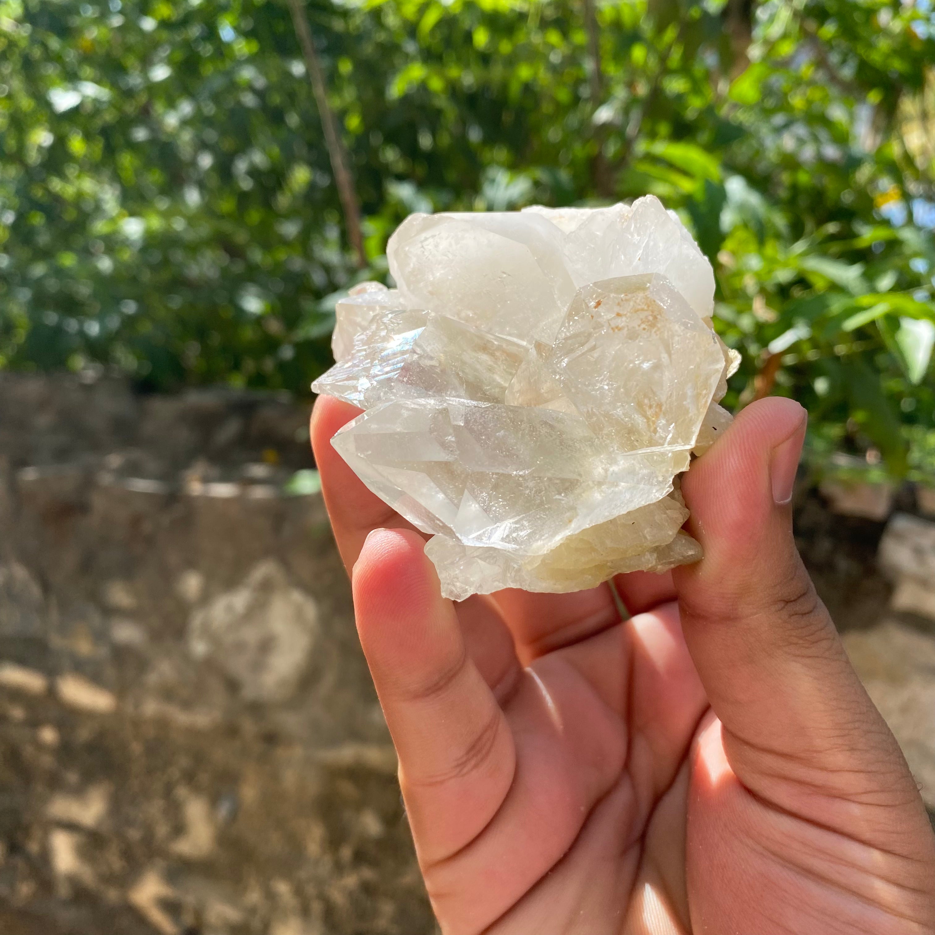White Himalayan Samadhi Quartz Raw Crystal Cluster Collector Healing Display Stone
