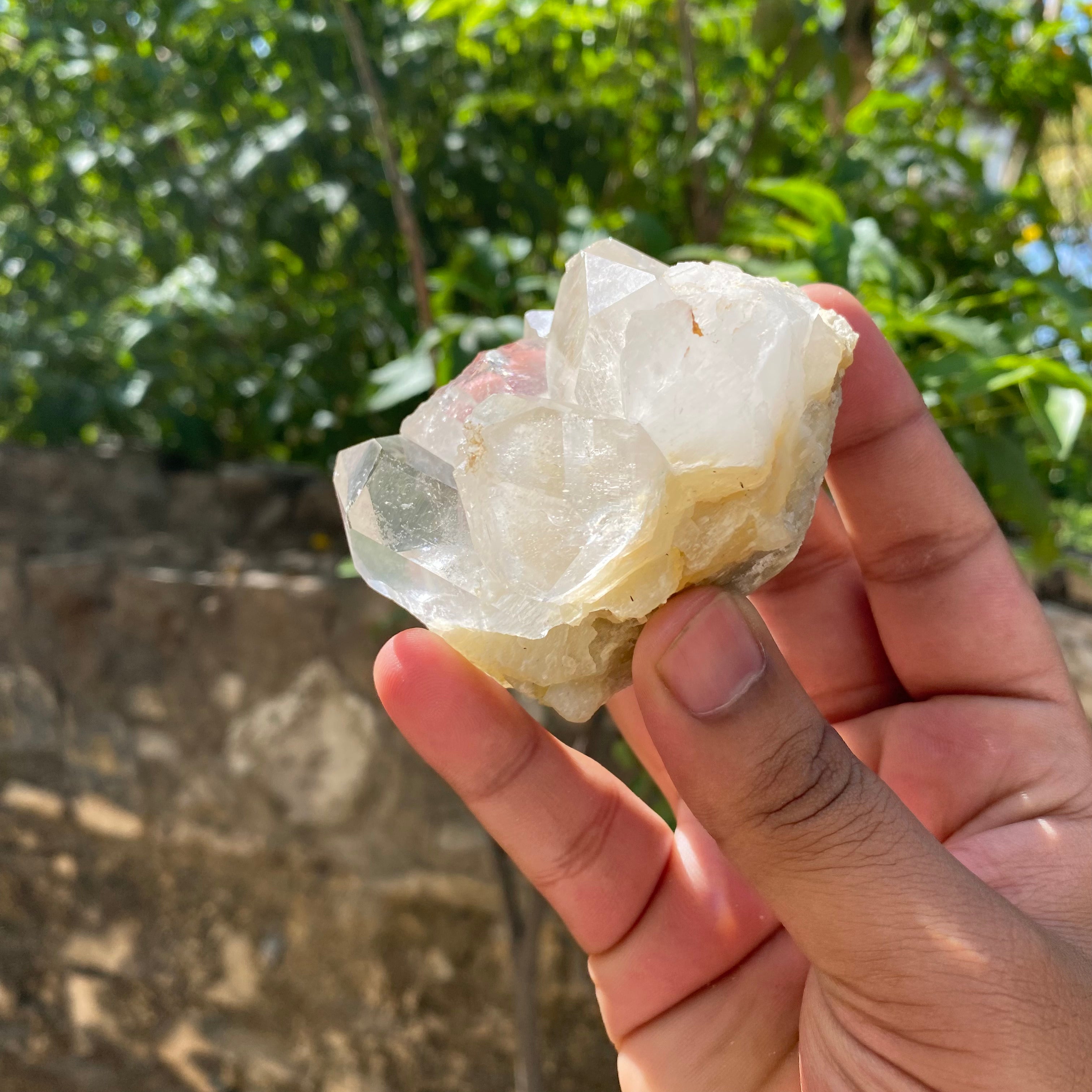 White Himalayan Samadhi Quartz Raw Crystal Cluster Collector Healing Display Stone