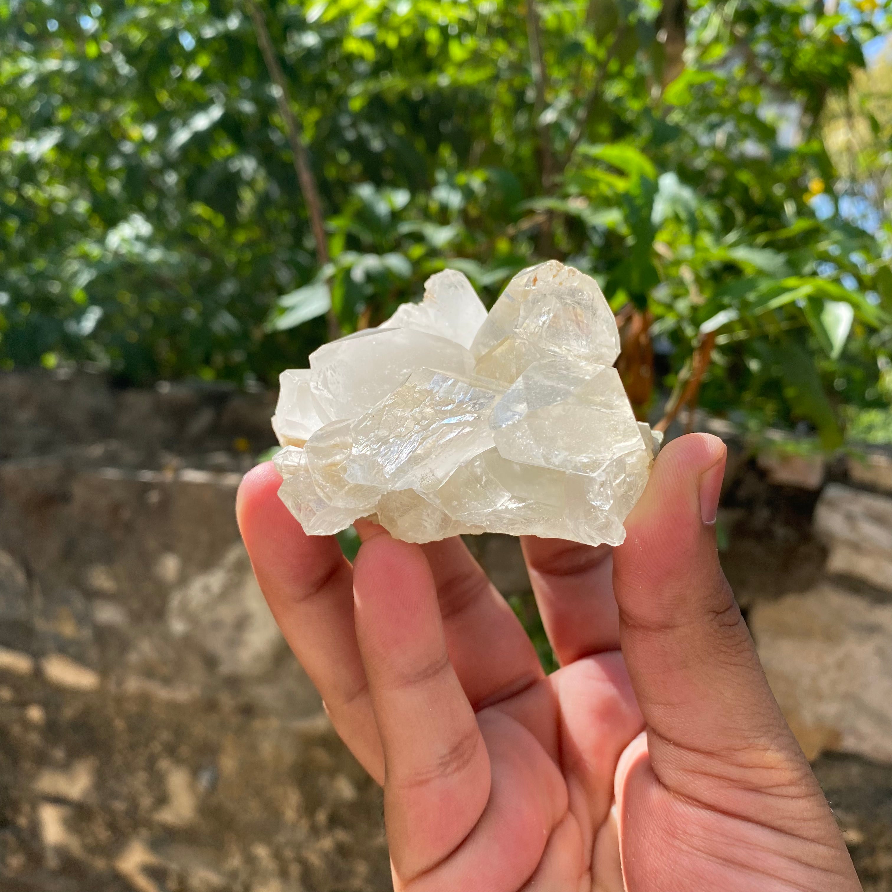 White Himalayan Samadhi Quartz Raw Crystal Cluster Collector Healing Display Stone