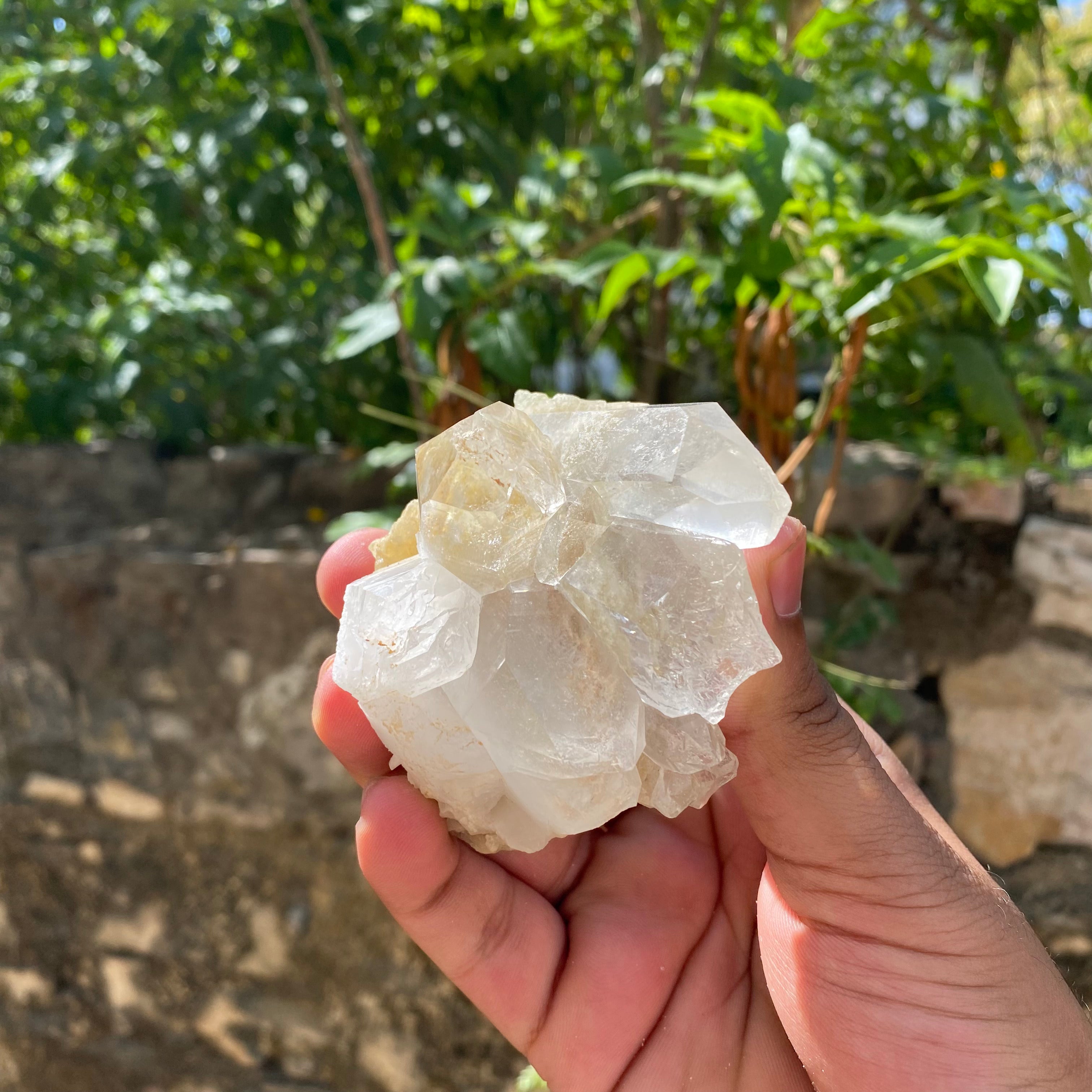 White Himalayan Samadhi Quartz Raw Crystal Cluster Collector Healing Display Stone