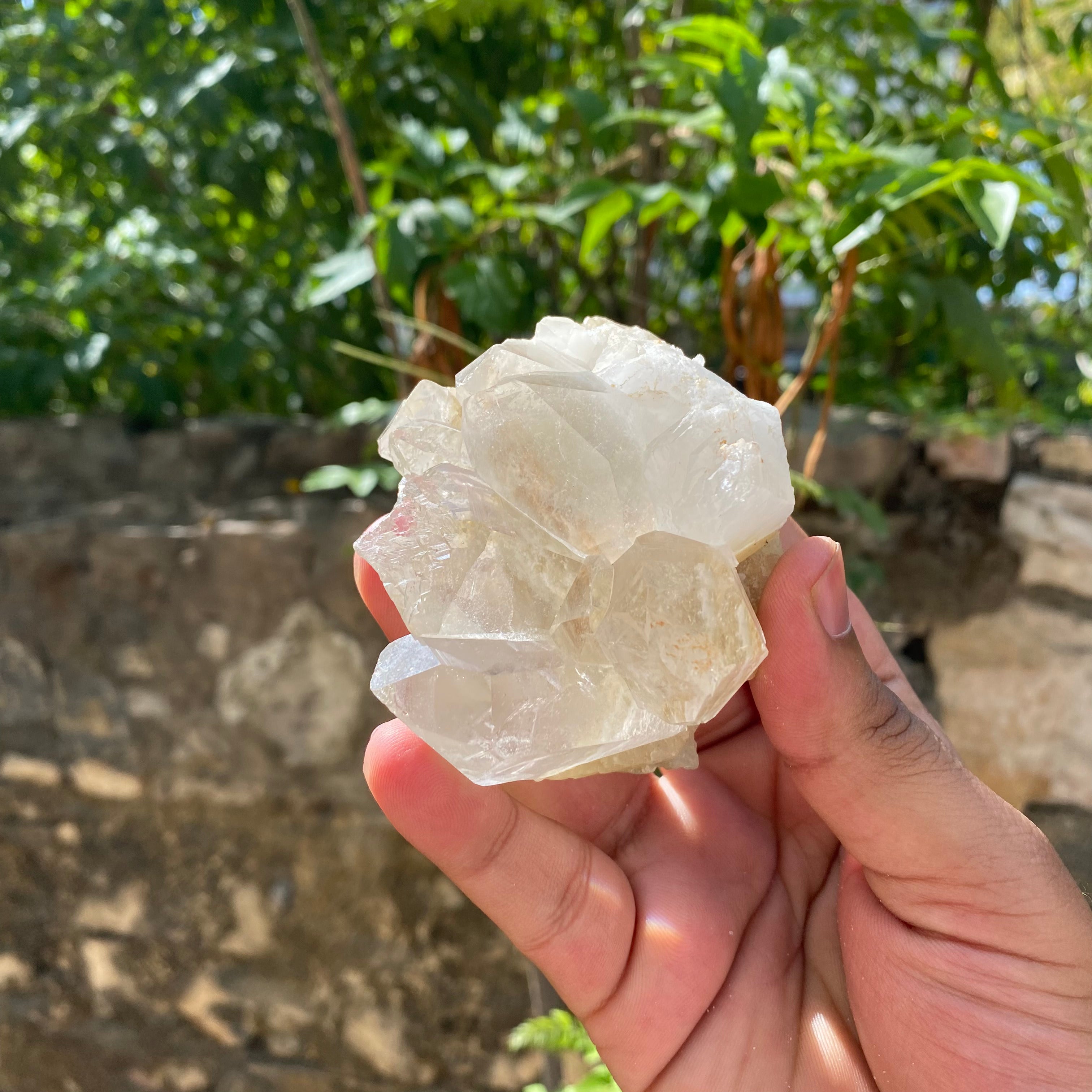 White Himalayan Samadhi Quartz Raw Crystal Cluster Collector Healing Display Stone