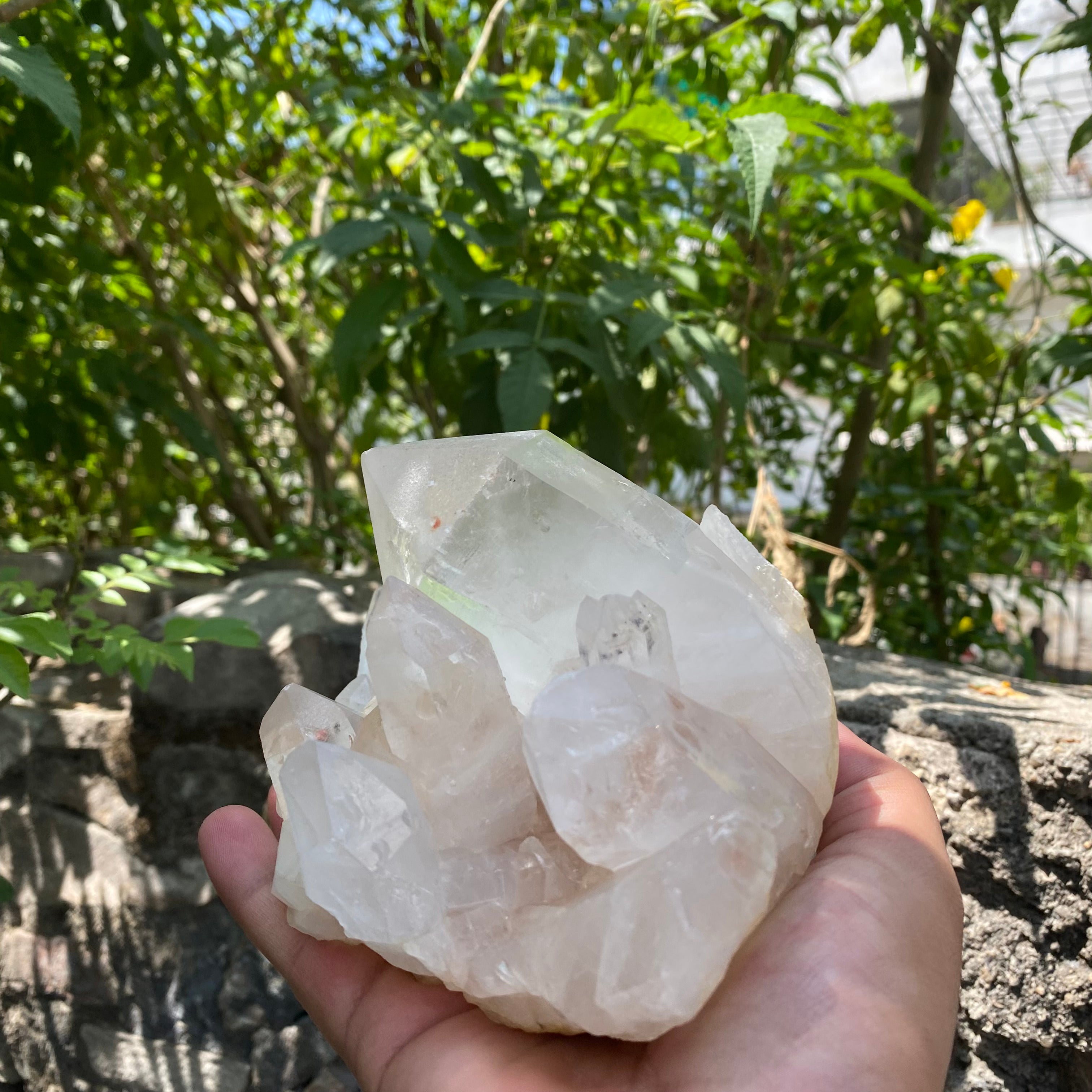 Pink & White Samadhi Quartz Crystal Cluster Healing Energy Himalayan Natural Display