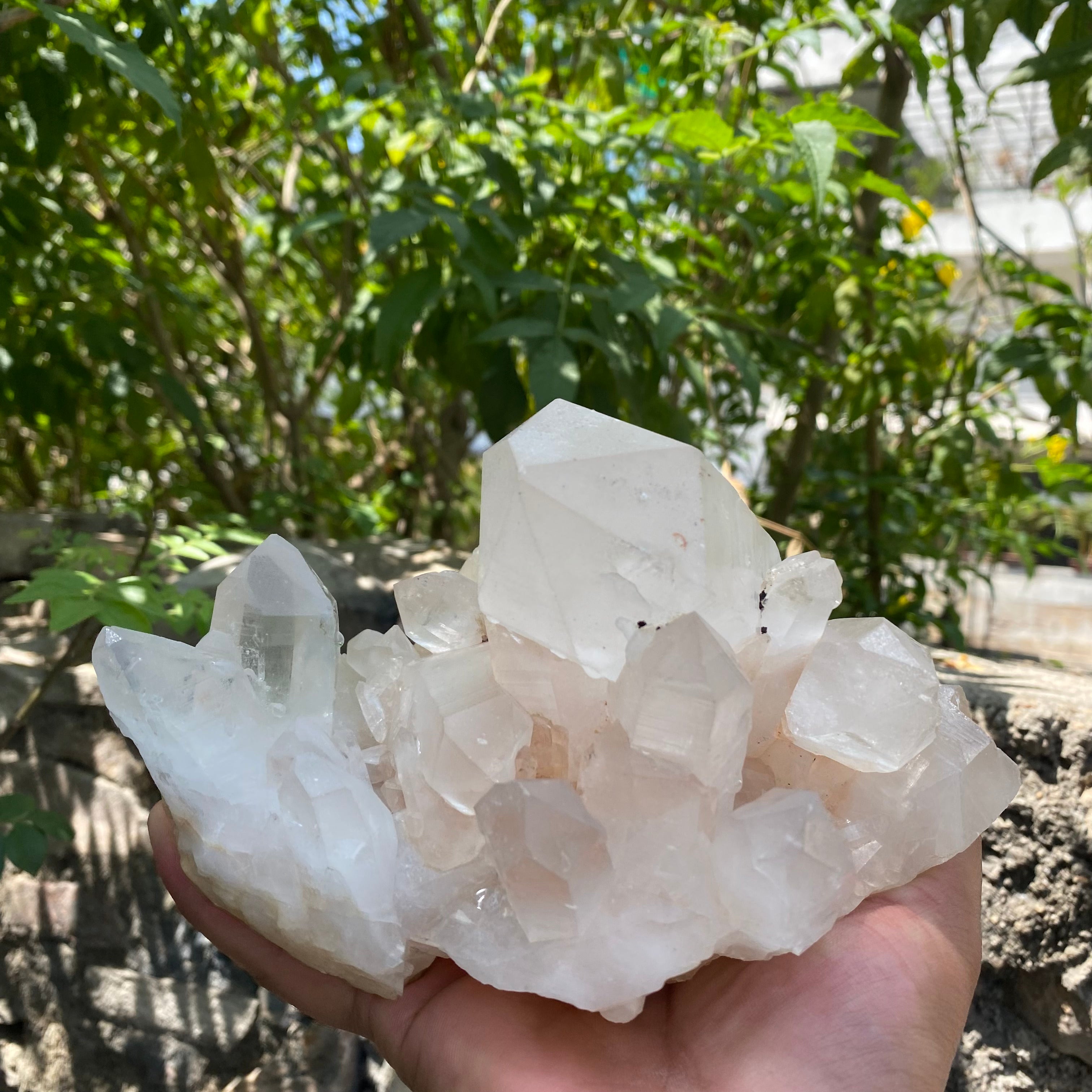 Pink & White Samadhi Quartz Crystal Cluster Healing Energy Himalayan Natural Display