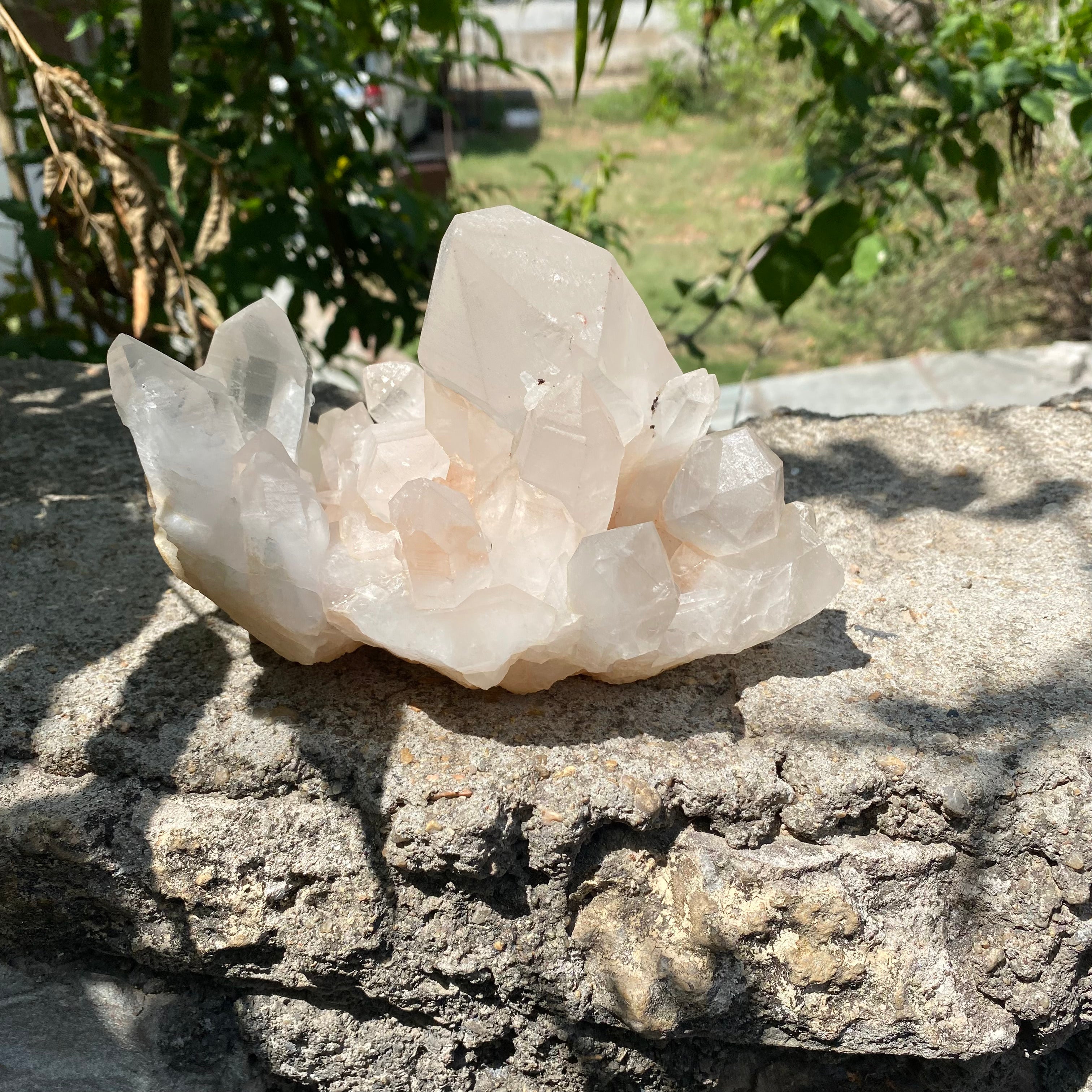 Pink & White Samadhi Quartz Crystal Cluster Healing Energy Himalayan Natural Display