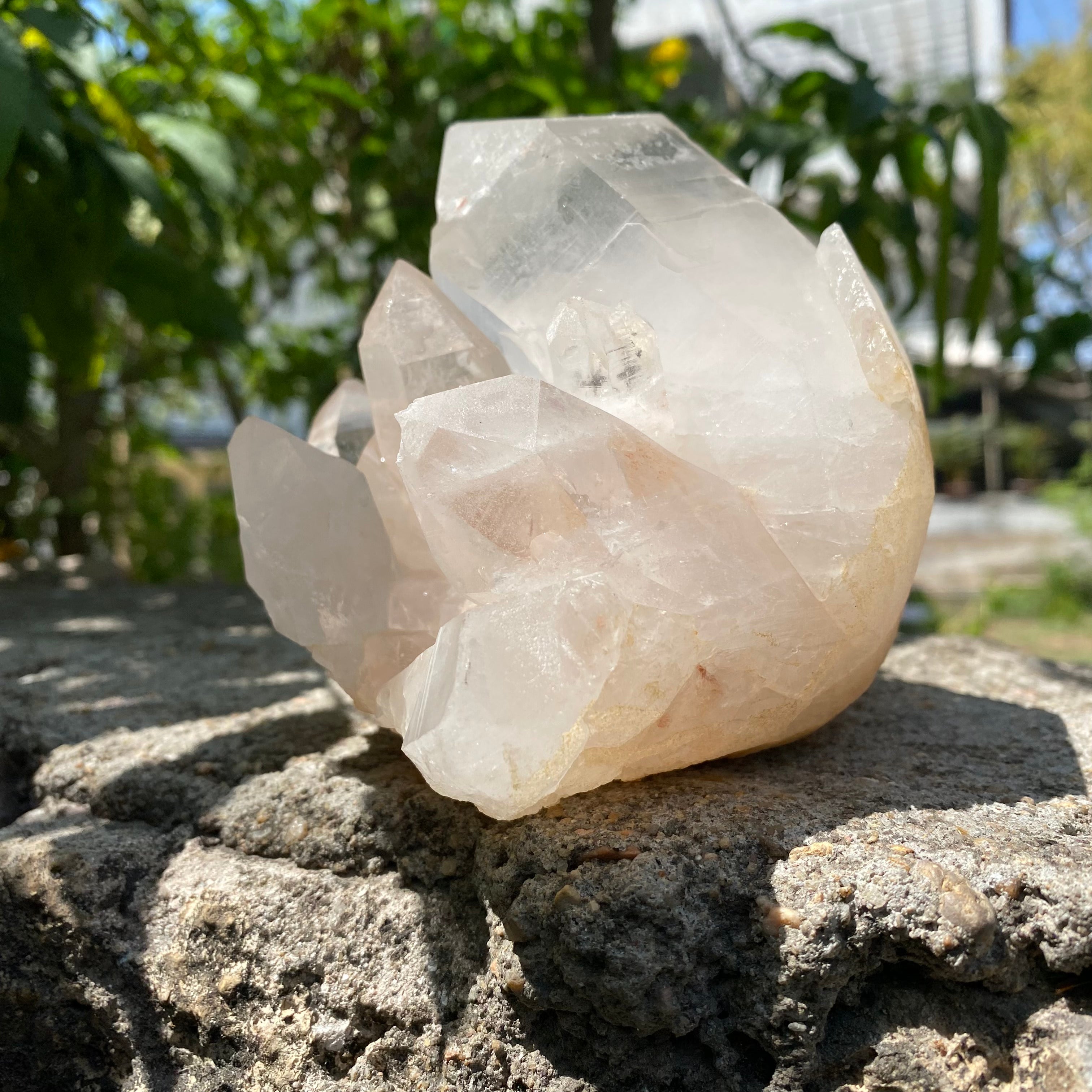 Pink & White Samadhi Quartz Crystal Cluster Healing Energy Himalayan Natural Display
