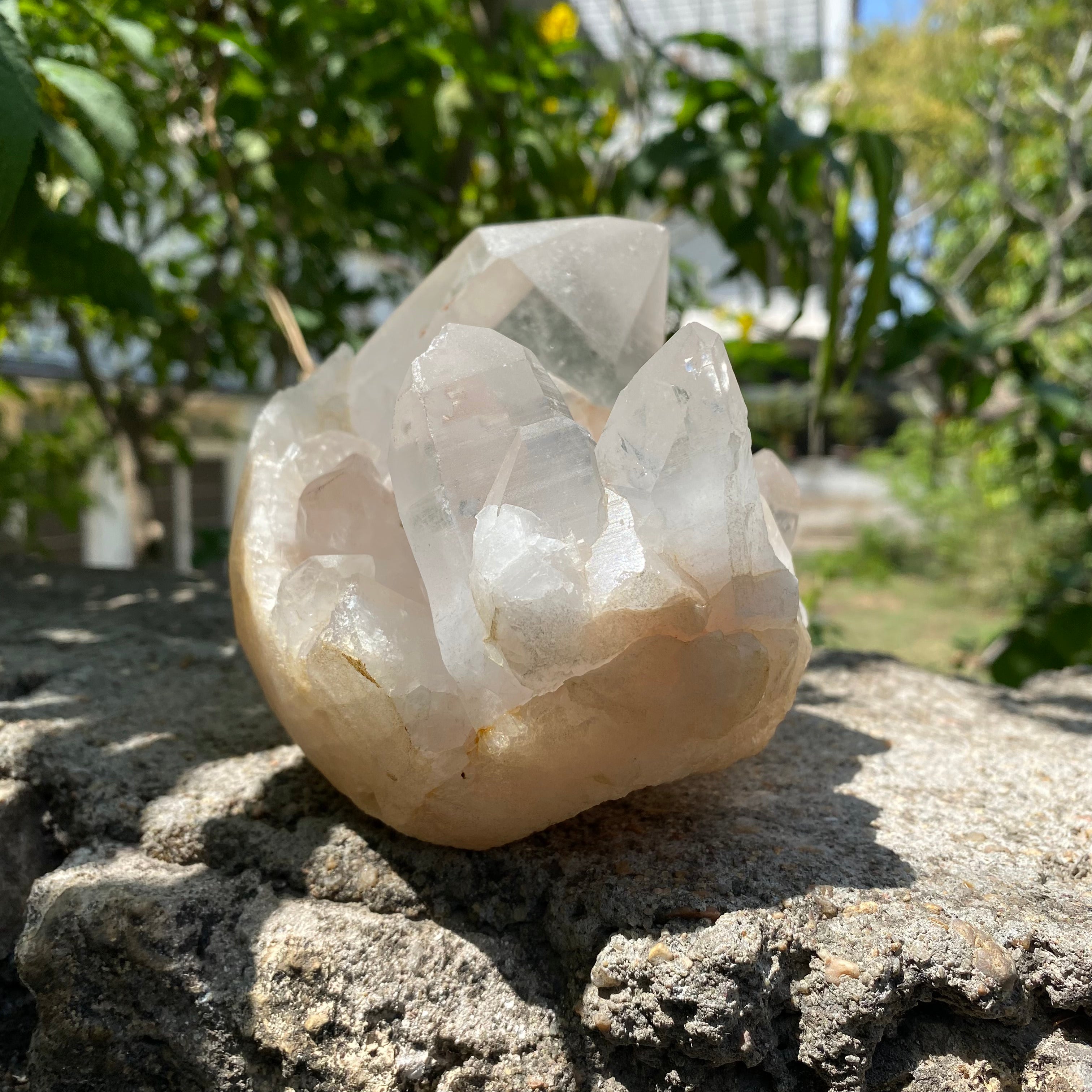 Pink & White Samadhi Quartz Crystal Cluster Healing Energy Himalayan Natural Display