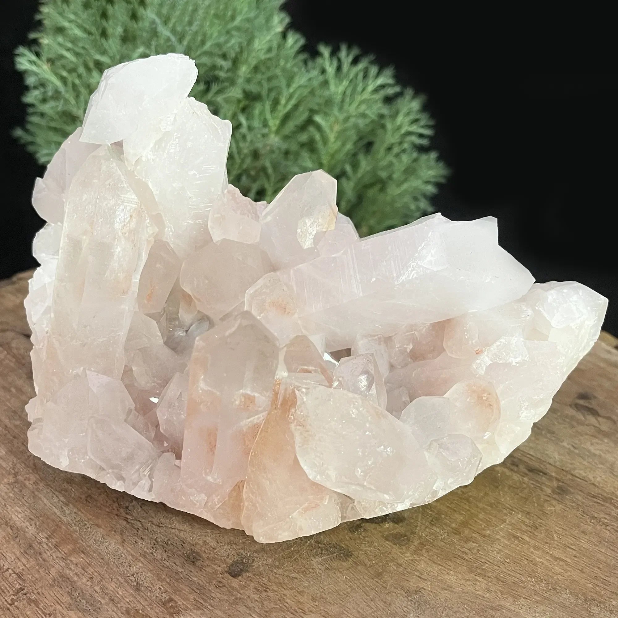 Natural Himalayan Pink Quartz Cluster 2180g Himalayan Quartz