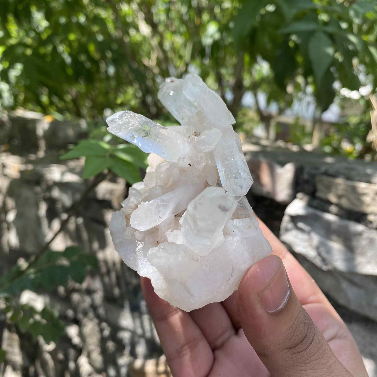 275g Himalayan White Quartz Cluster Natural Collector Mineral Specimen