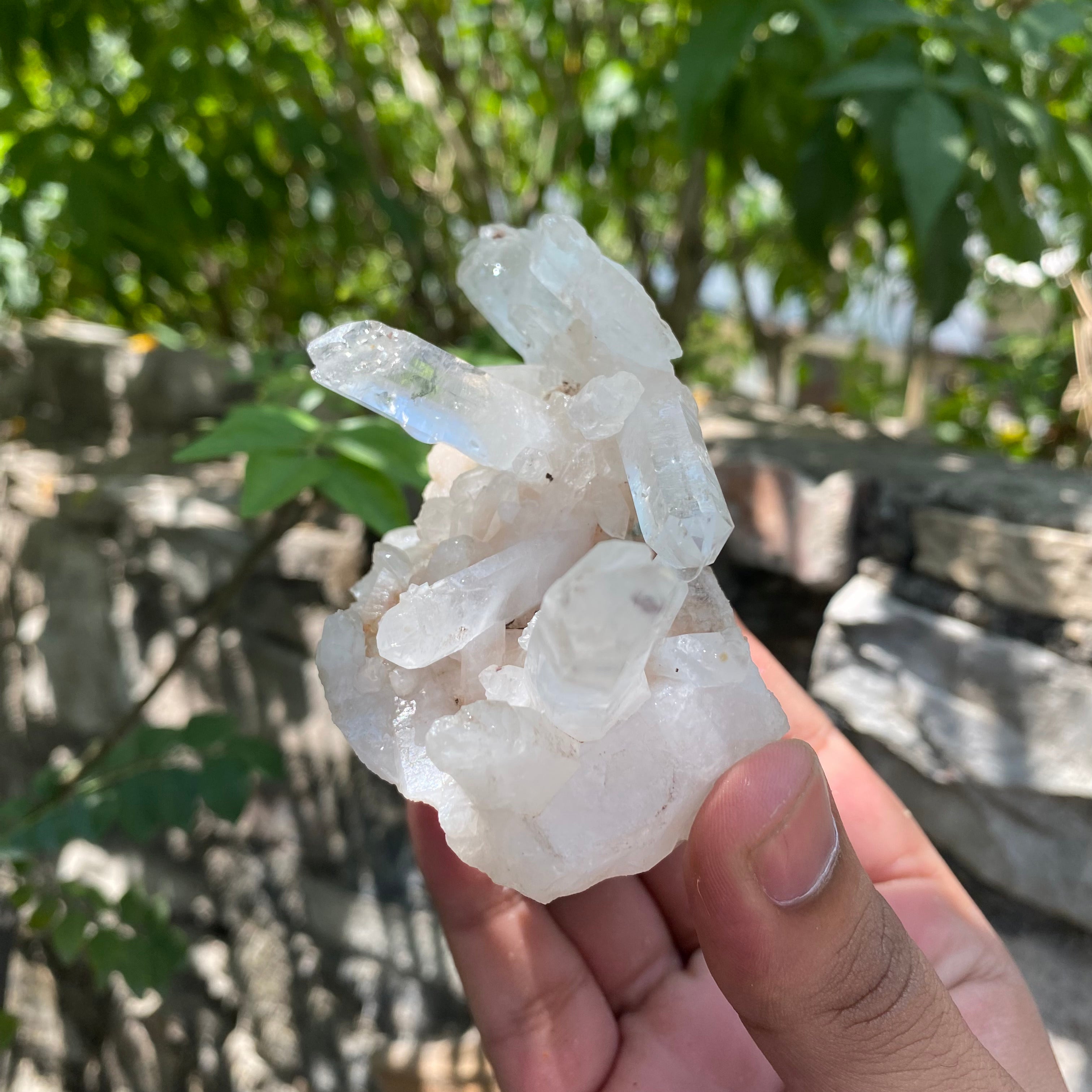 White Himalayan Samadhi Quartz Raw Crystal Cluster Healing Collector Energy Mineral