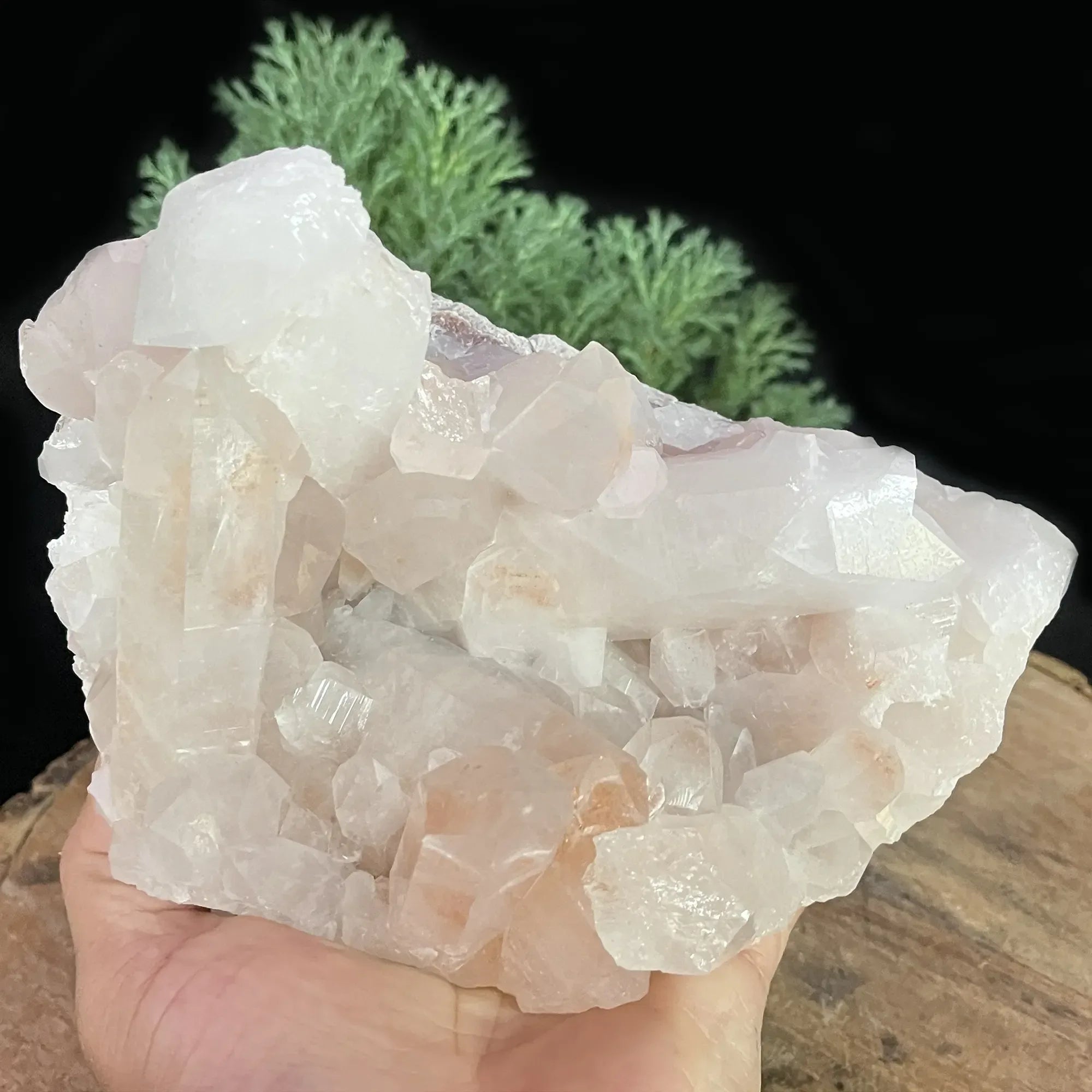 Natural Himalayan Pink Quartz Cluster 2180g Himalayan Quartz