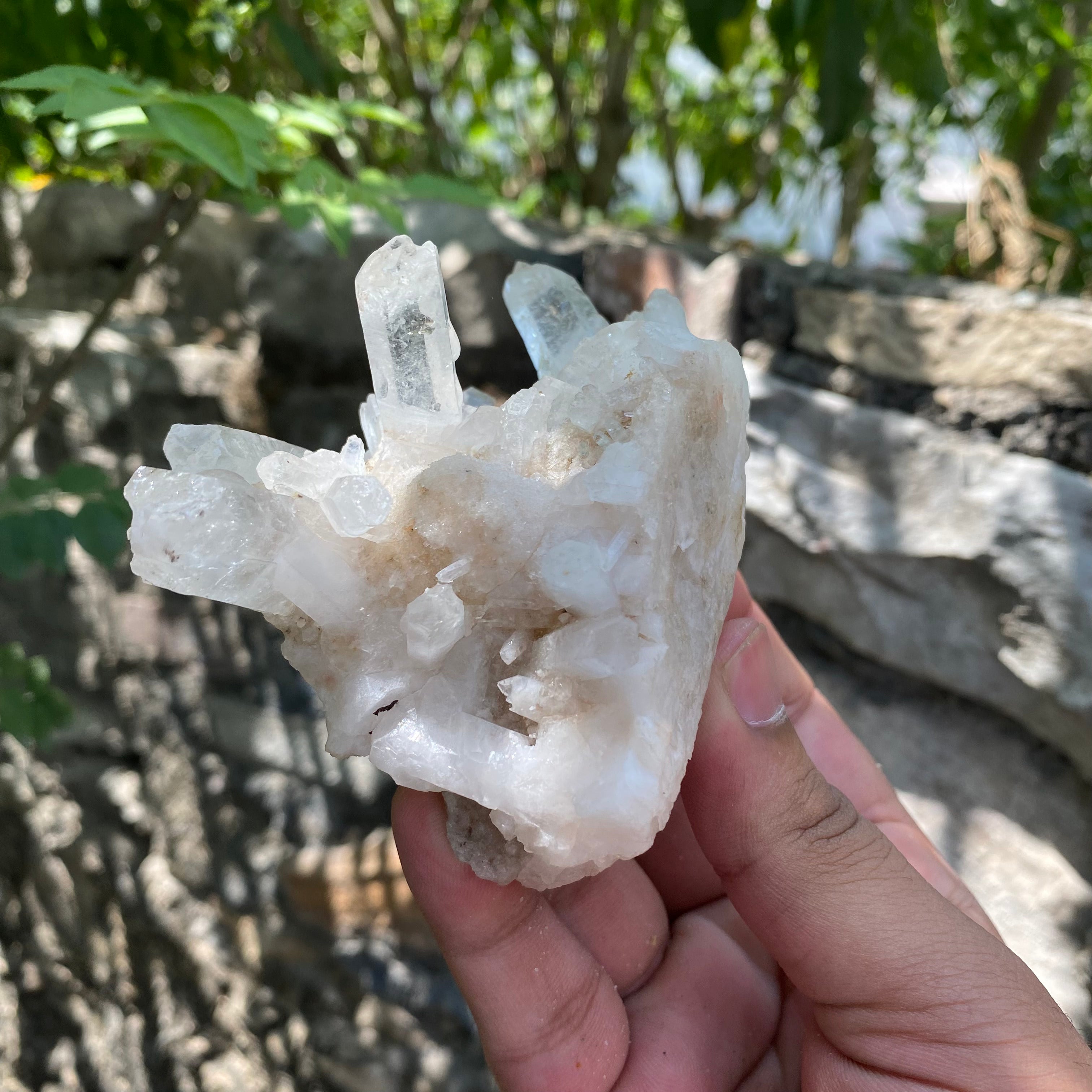 White Himalayan Samadhi Quartz Raw Crystal Cluster Healing Collector Energy Mineral