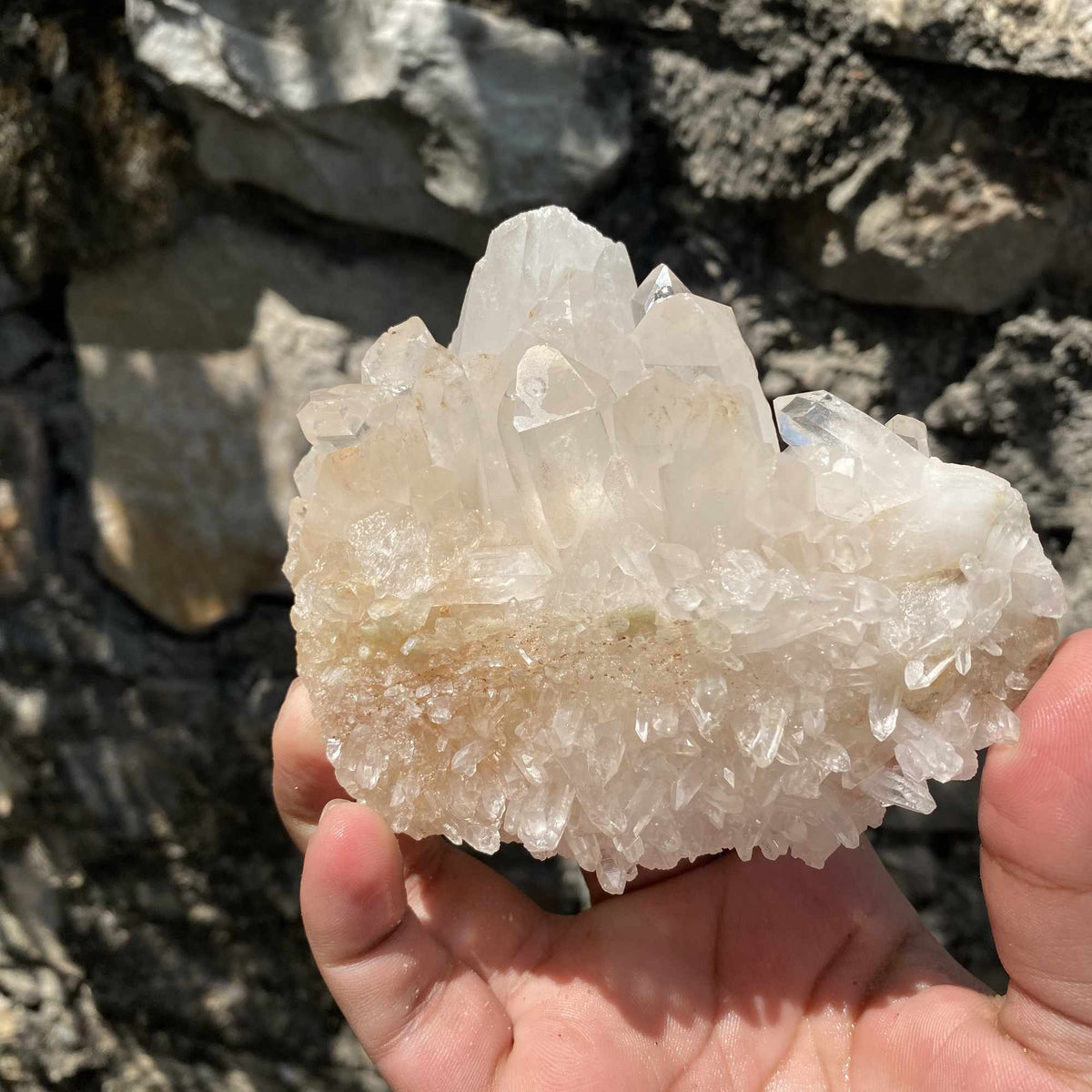 White Yellow Himalayan Quartz Collector Natural Cluster Raw Specimen