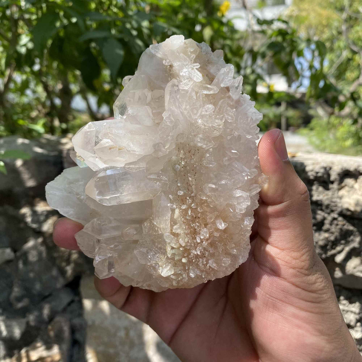 White Yellow Himalayan Quartz Collector Natural Cluster Raw Specimen